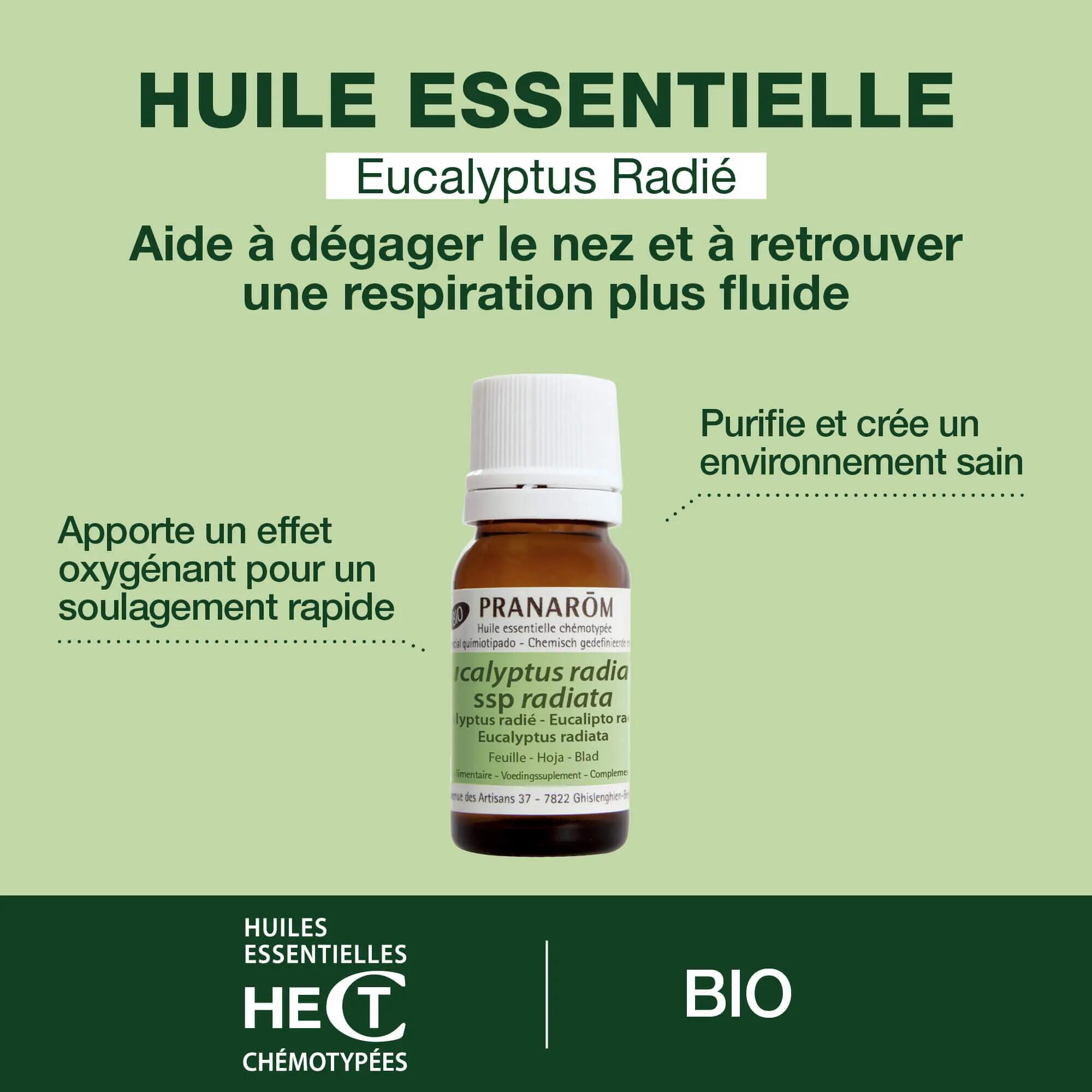 Huile Essentielle - Aromathérapie - Unisexe - Eucalyptus radié Bio 10 ml 5/5