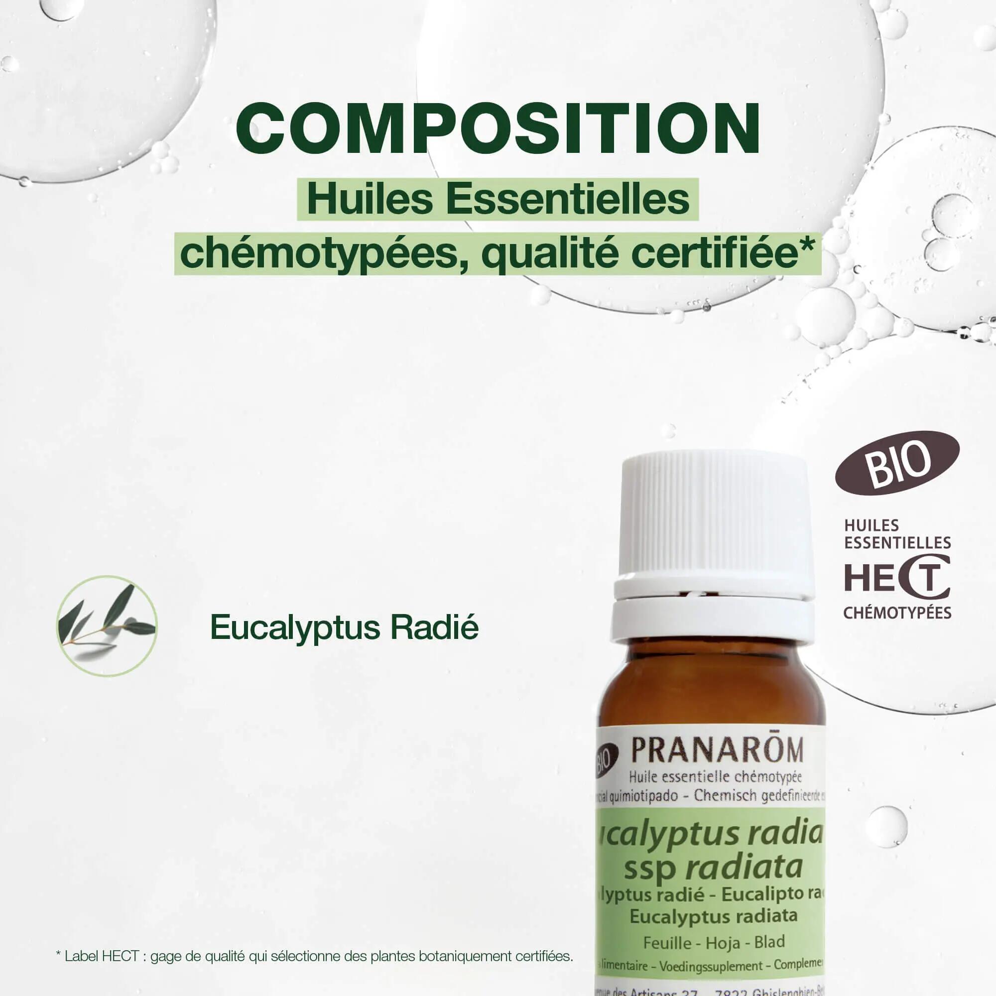 Huile Essentielle - Aromathérapie - Unisexe - Eucalyptus radié Bio 10 ml 3/5