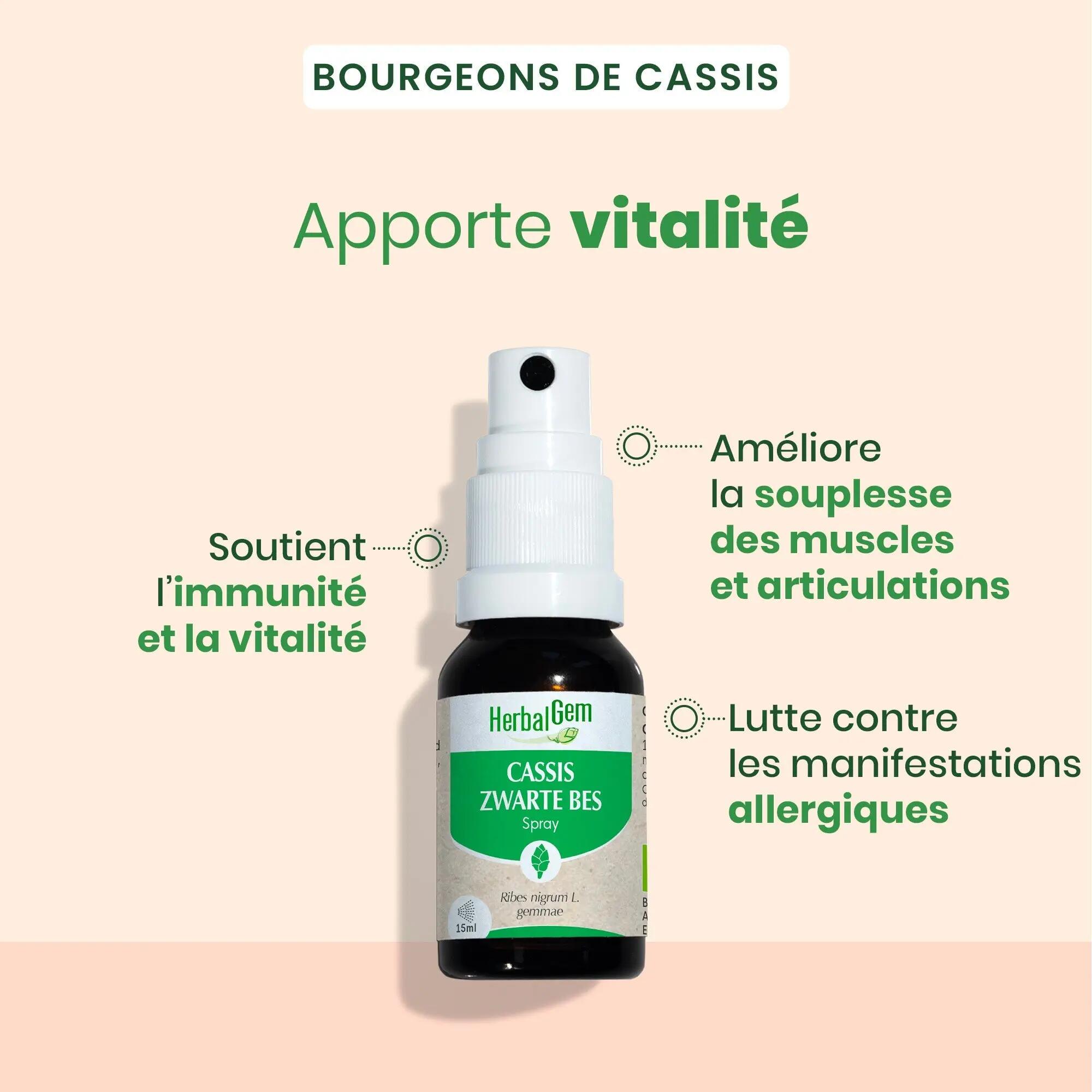 Bourgeon de cassis - spray buccal bio 5/5