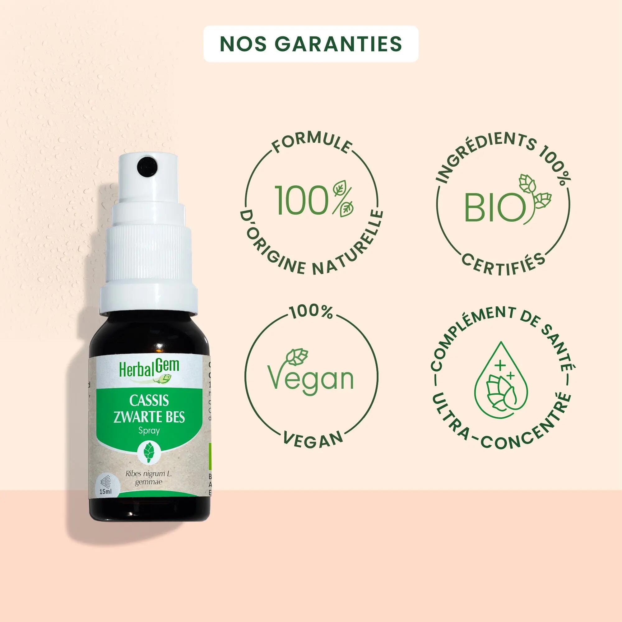 Bourgeon de cassis - spray buccal bio 4/5