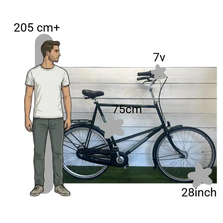Bicicleta usada Batavus Stabilo XXXL Framemaat 2/4