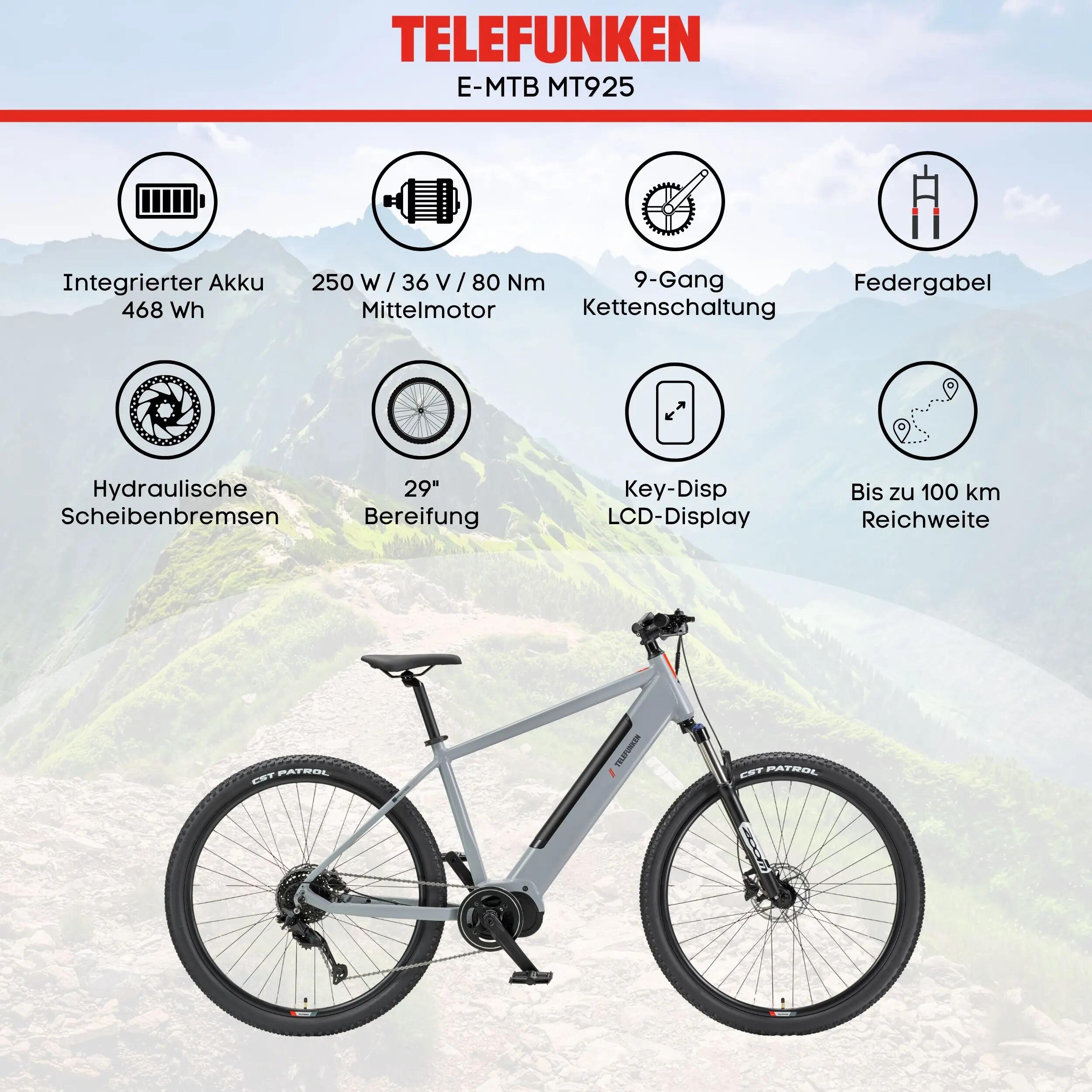 E-Bike MT925 29 Zoll 9-Gang Pedelec Mountainbike E-MTB Elektrofahrrad Hardtail 5/7