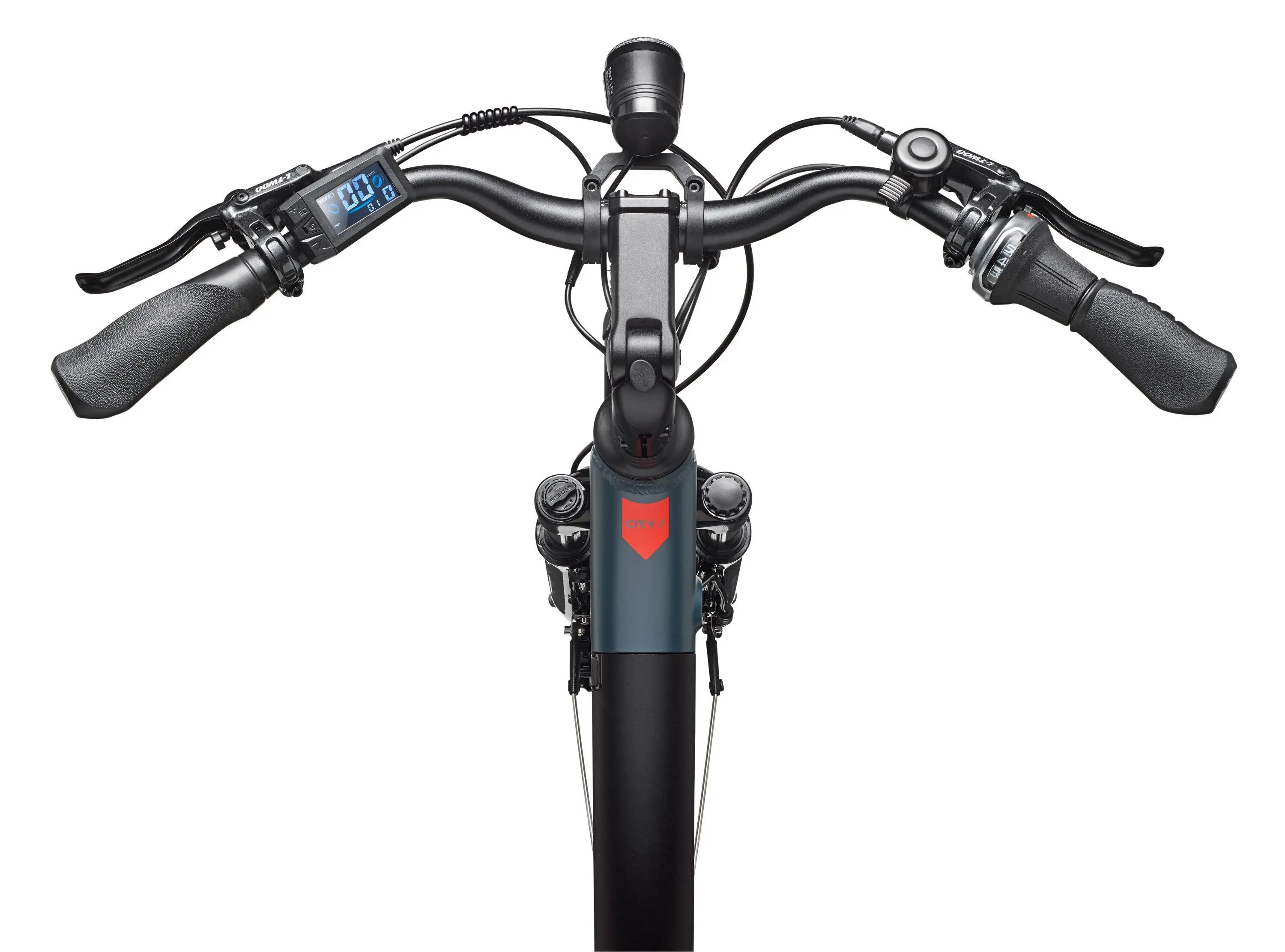 E-Bike RC675 28 Zoll 7-Gang Pedelec City Elektrofahrrad Herren Damen Granitgrau 4/7