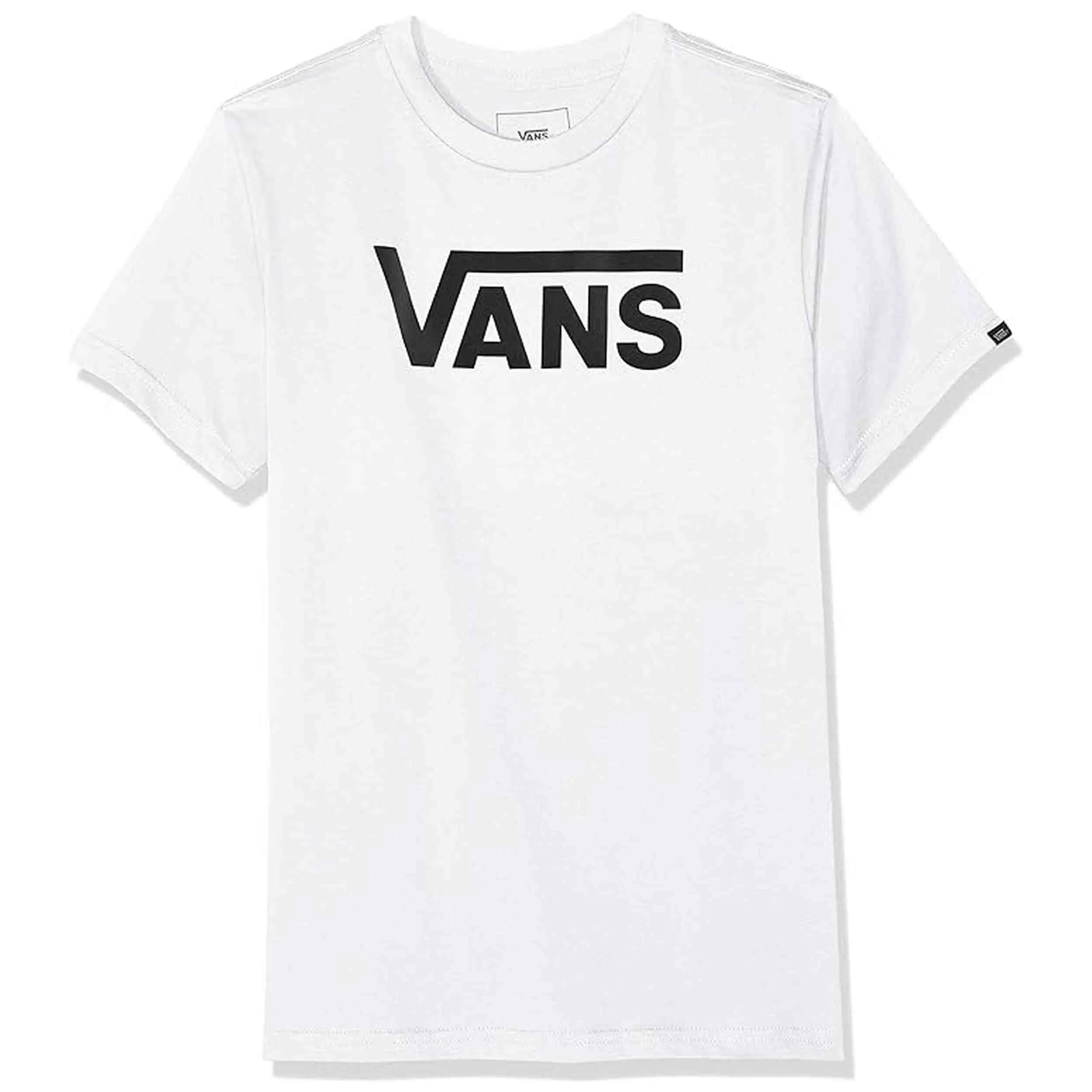 VANS picture