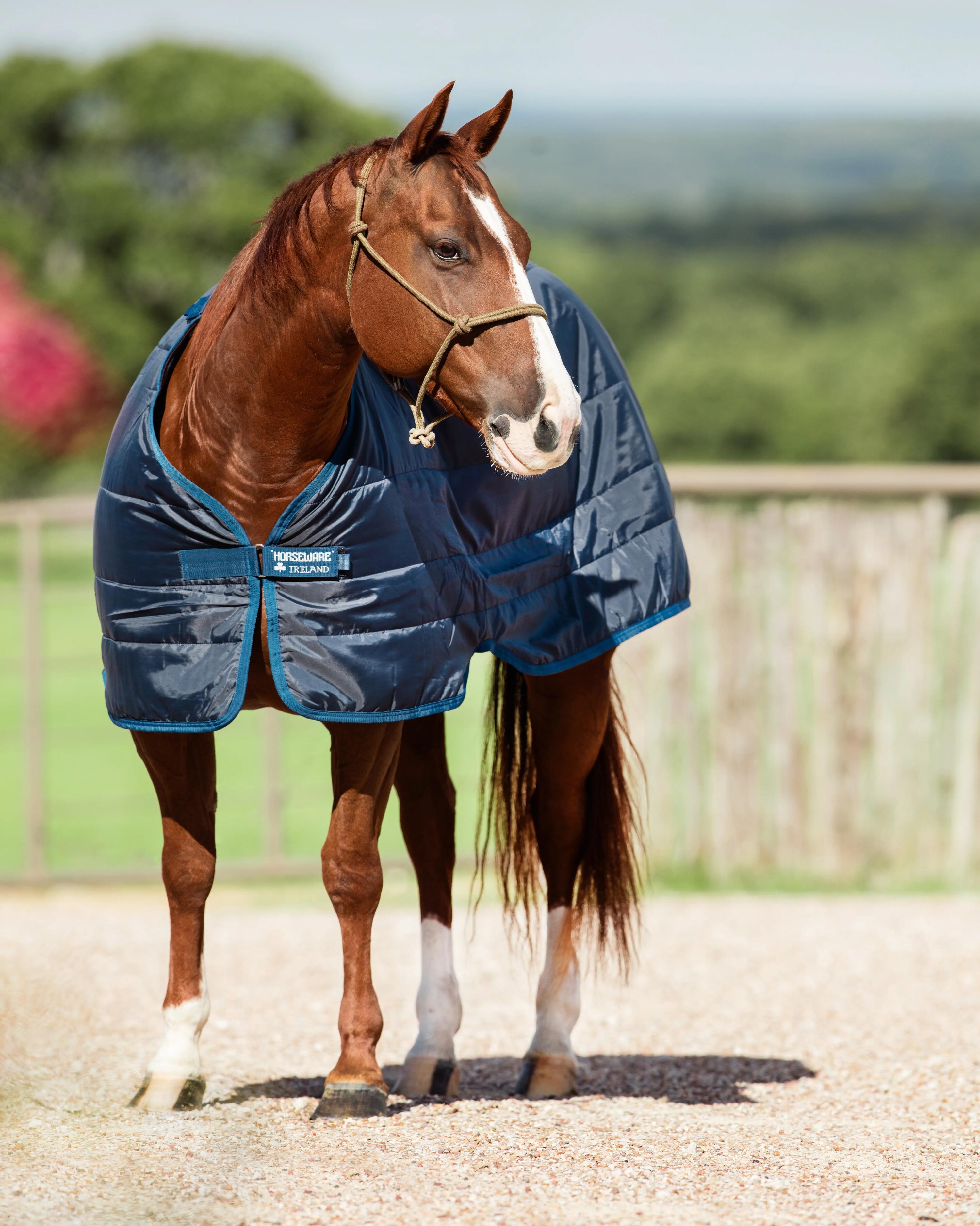 Fodera per copertura per cavallo 300g Horseware 2/6