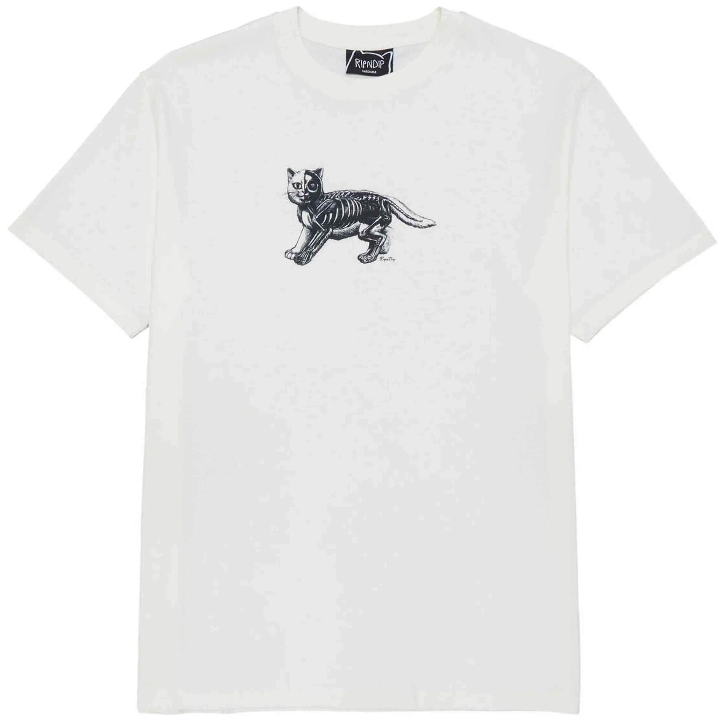 RIPNDIP picture