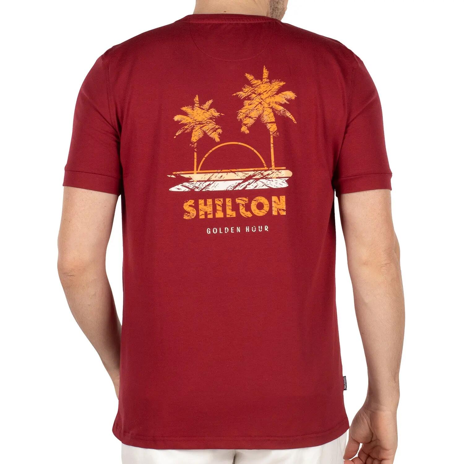 SHILTON picture