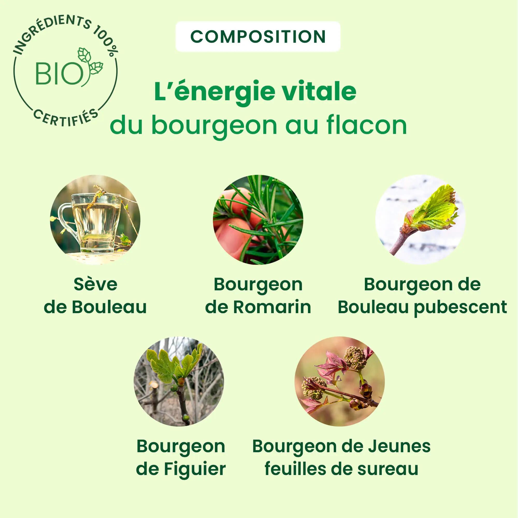 Cure 3 semaines - Mixte - Sève de bouleau bio 3/4