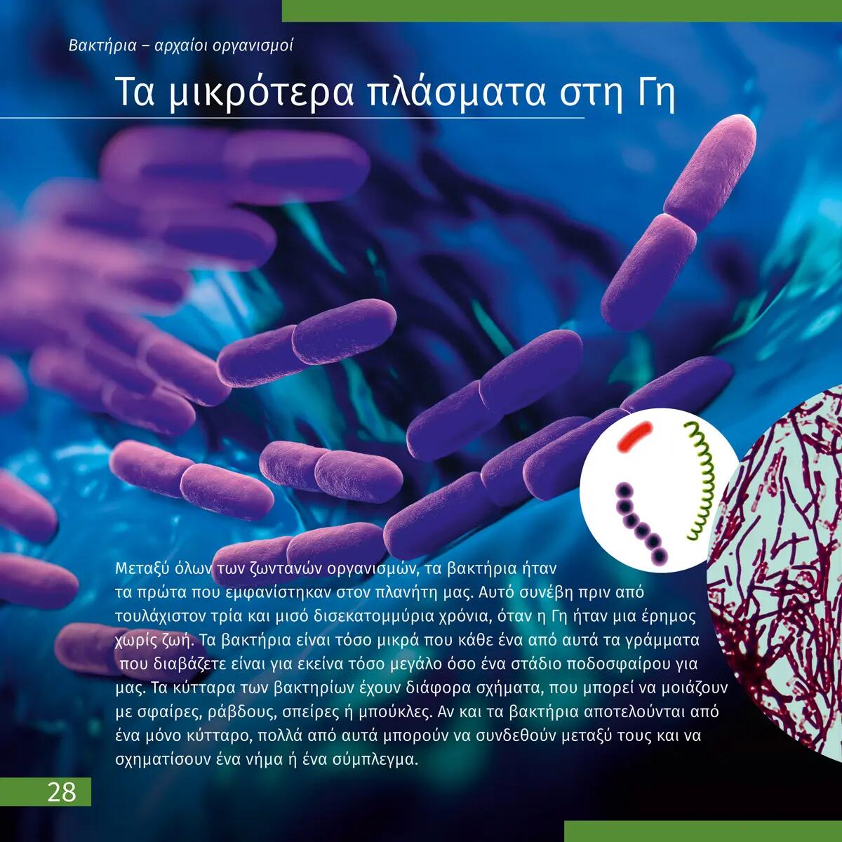 Libro educativo - Observación de fauna - Preparación física - LEVENHUK - Negro 6/6