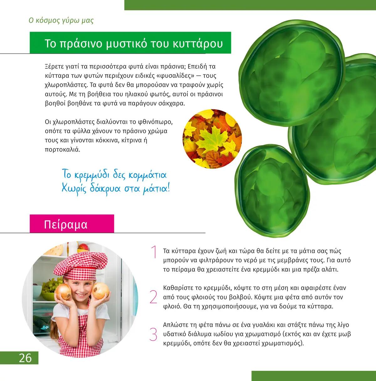 Libro educativo - Observación de fauna - Preparación física - LEVENHUK - Negro 5/6