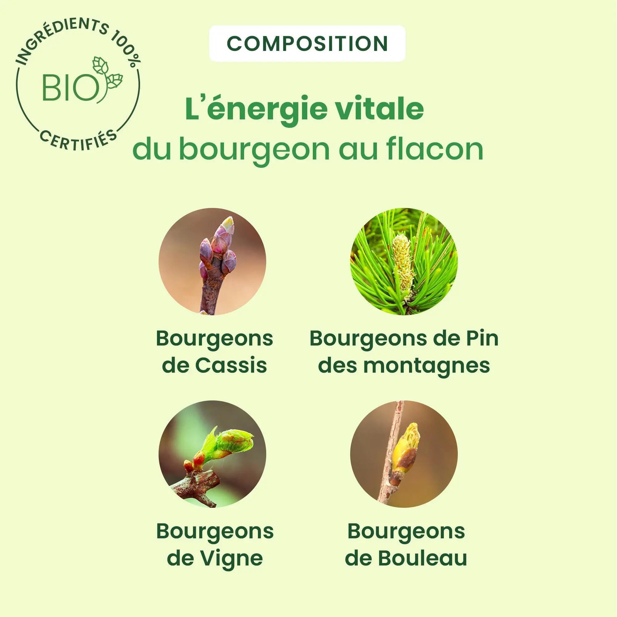 Artigem - Complexe articulations bio 30 ml 3/5