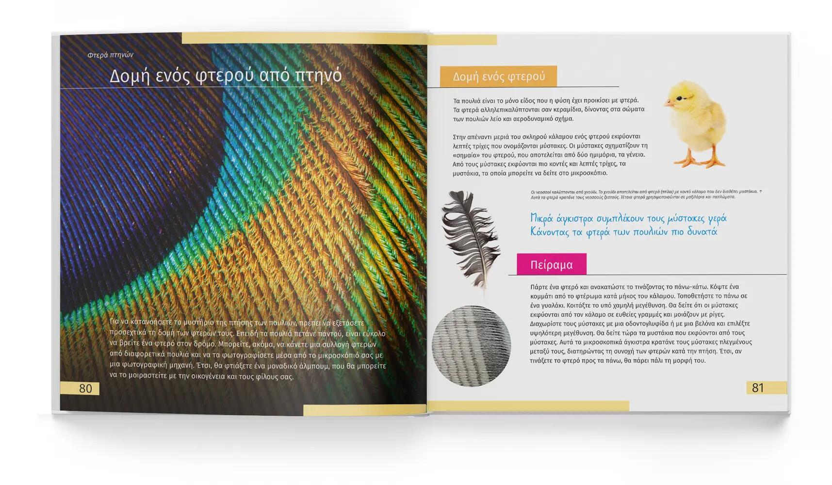 Libro educativo - Observación de fauna - Preparación física - LEVENHUK - Negro 3/6