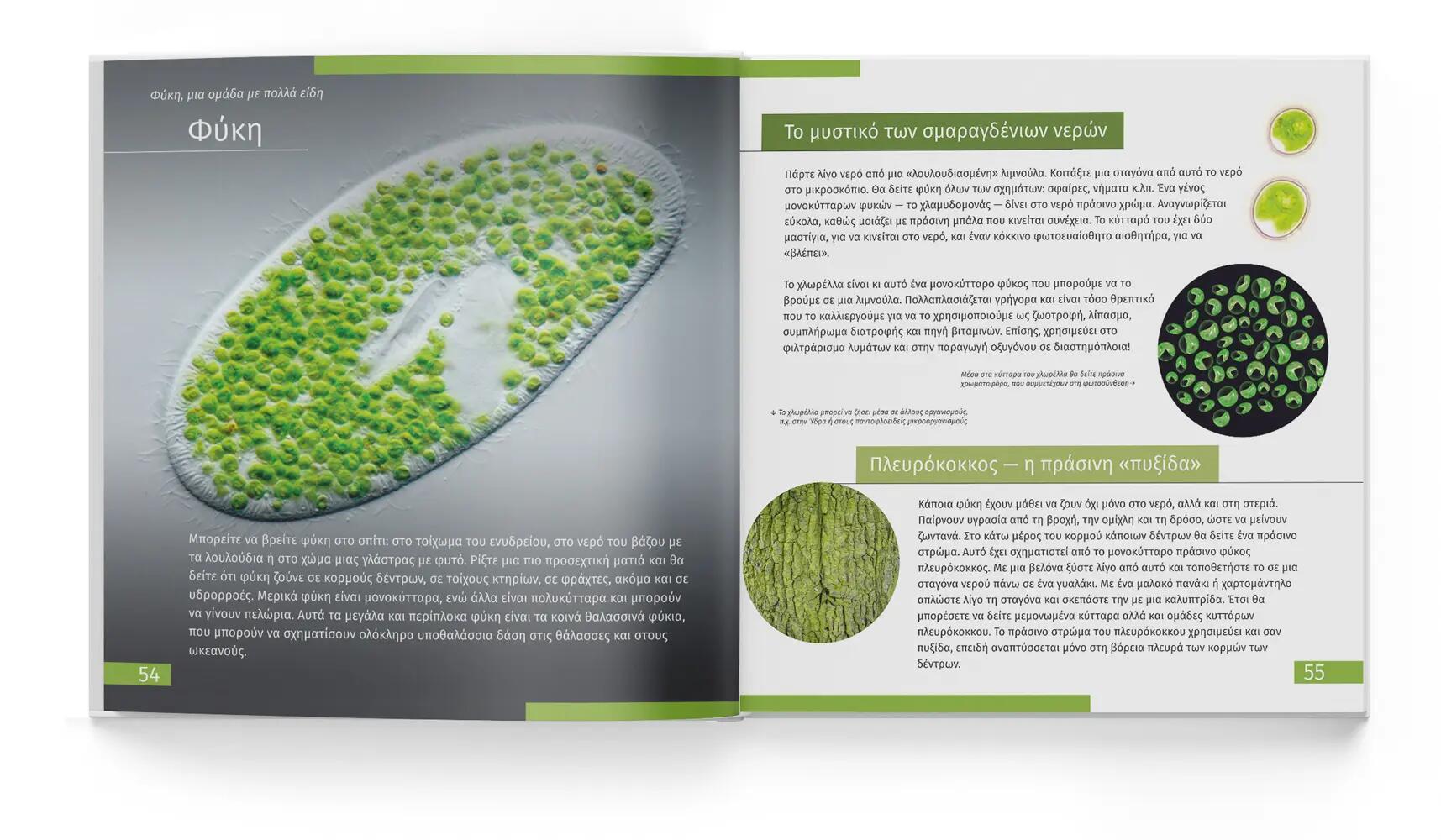 Libro educativo - Observación de fauna - Preparación física - LEVENHUK - Negro 2/6