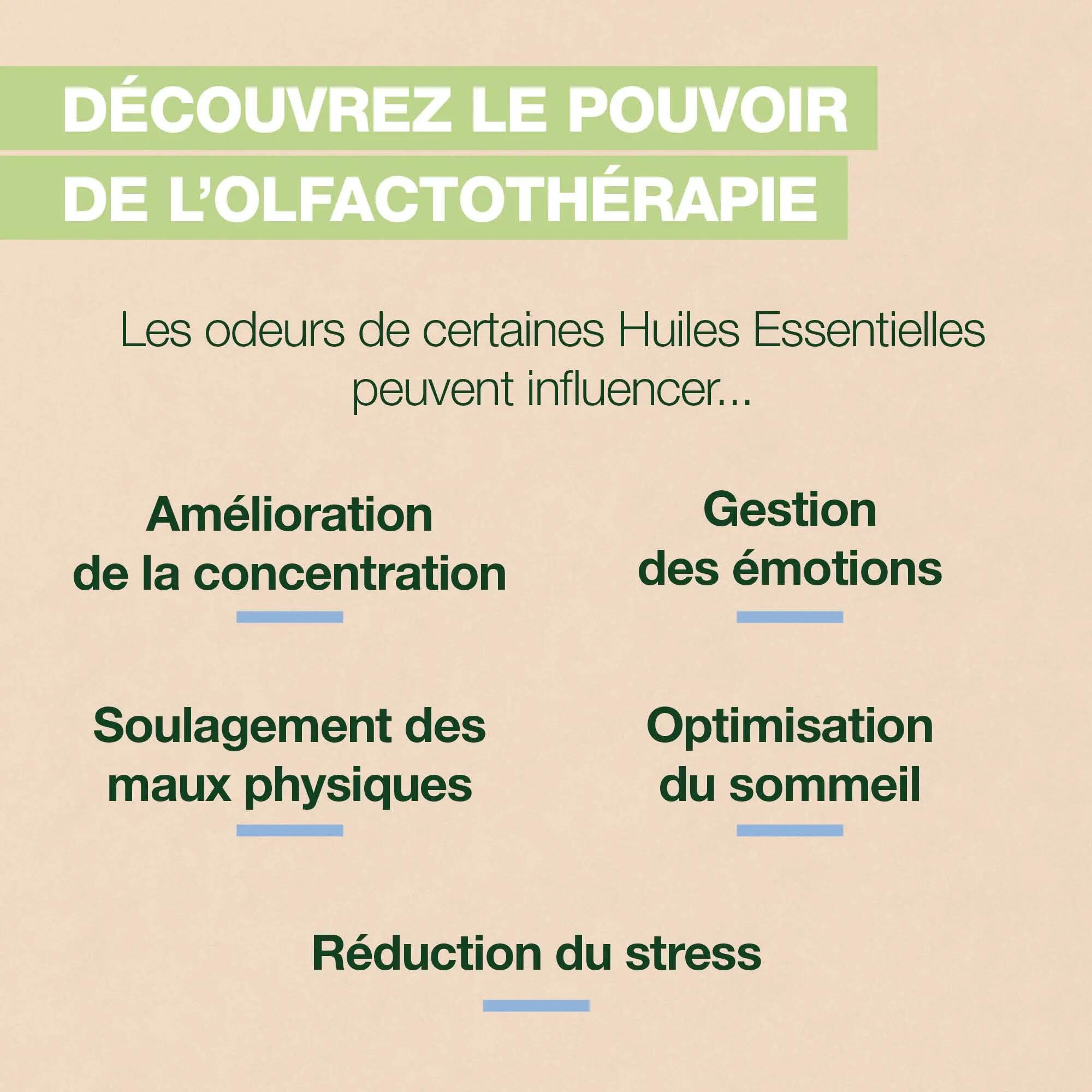 Brume d'oreiller - Camomille noble bio, apaisante - Sleep 2/6