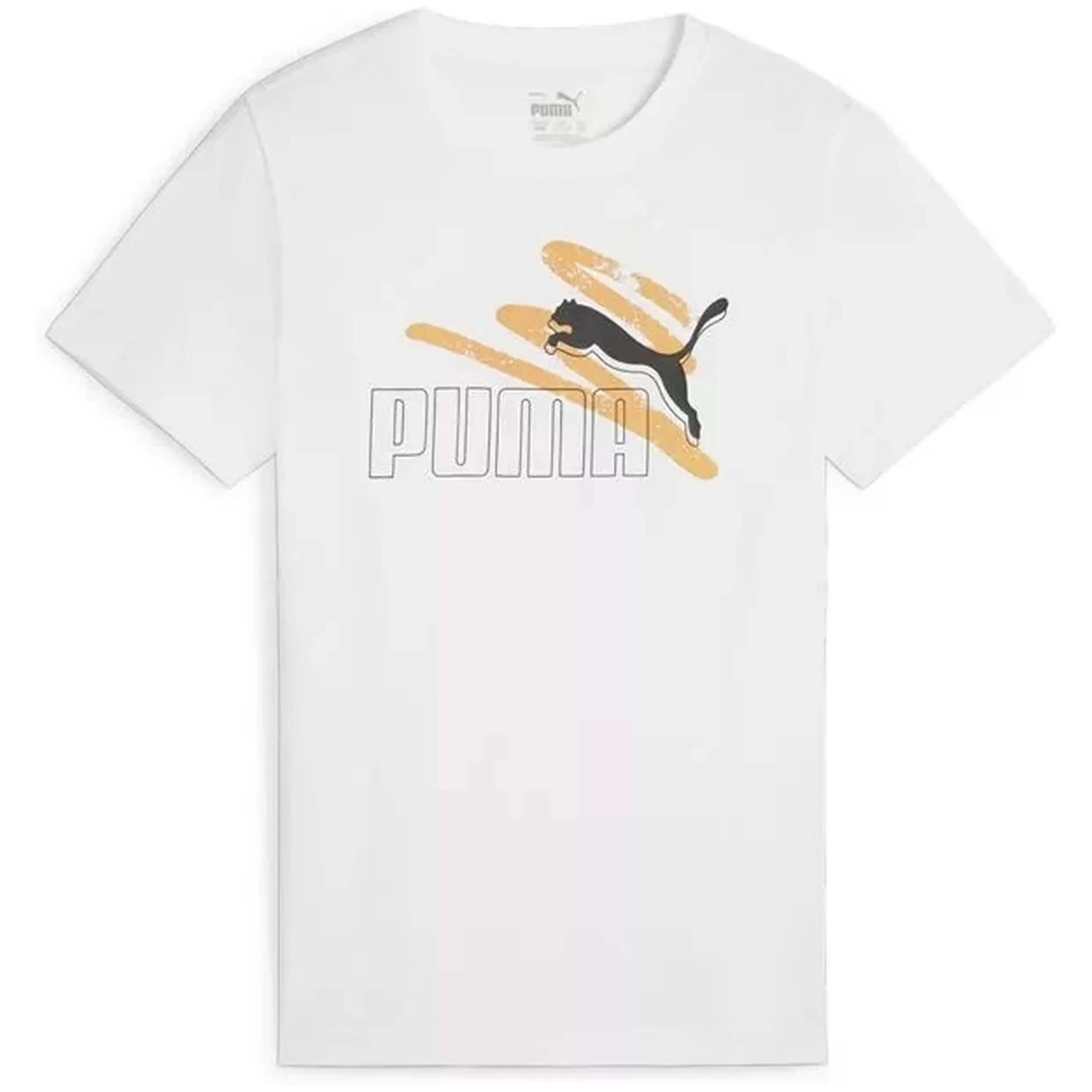 PUMA picture