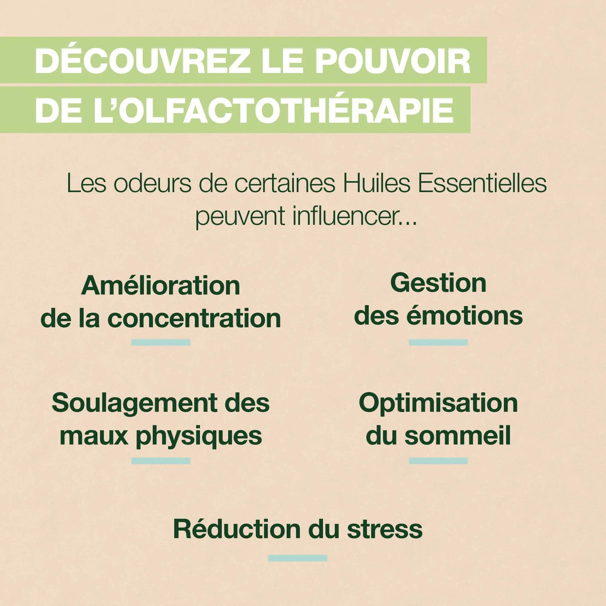 Roll-on olfactif - bio - diet 2/6