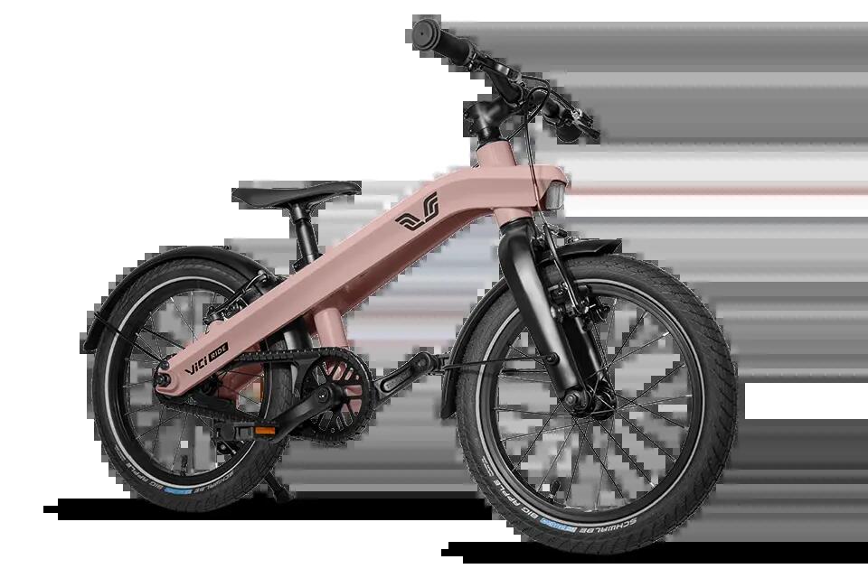 VICI BIKE picture