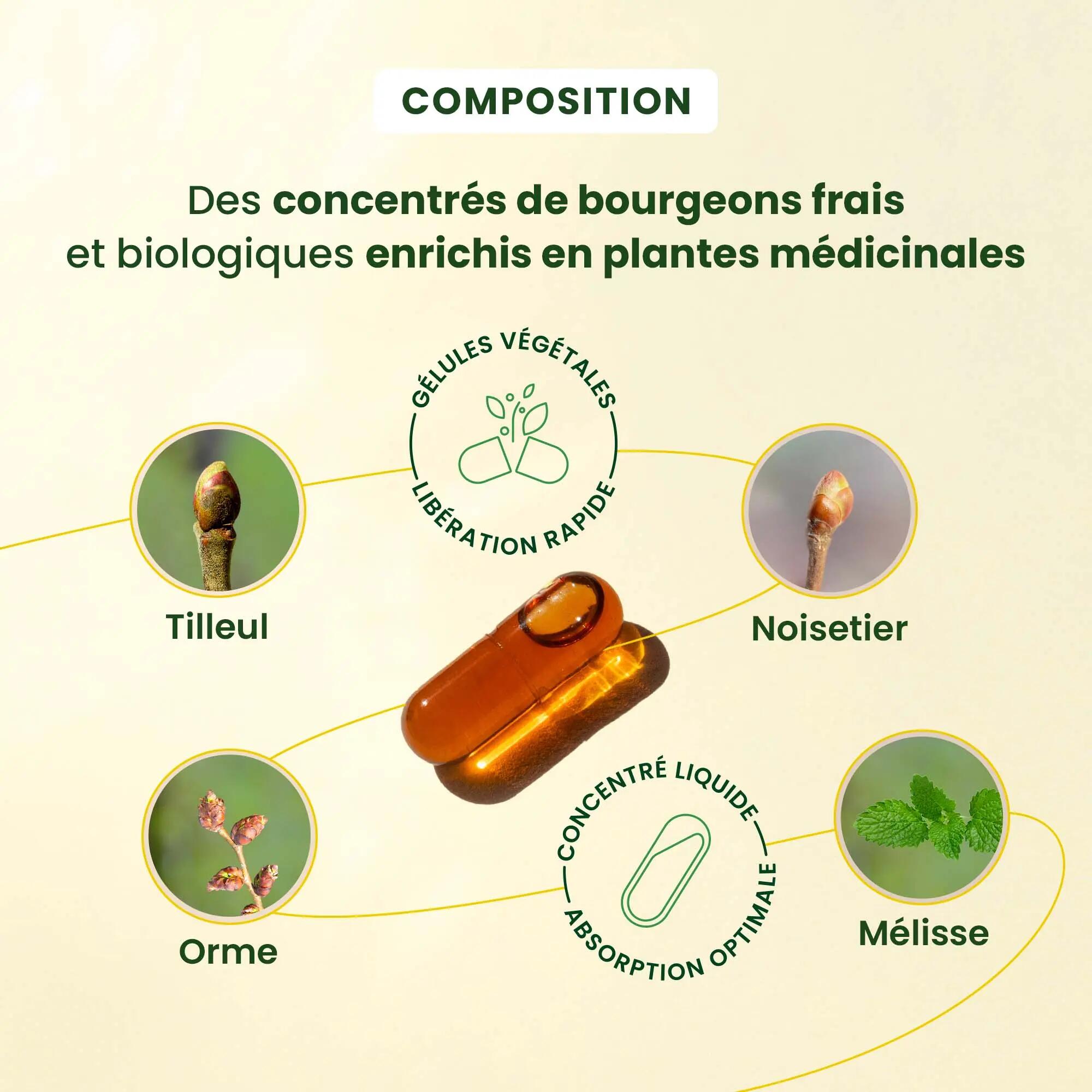 Complément sommeil bio - Bourgeons frais - 30 gélules 4/5