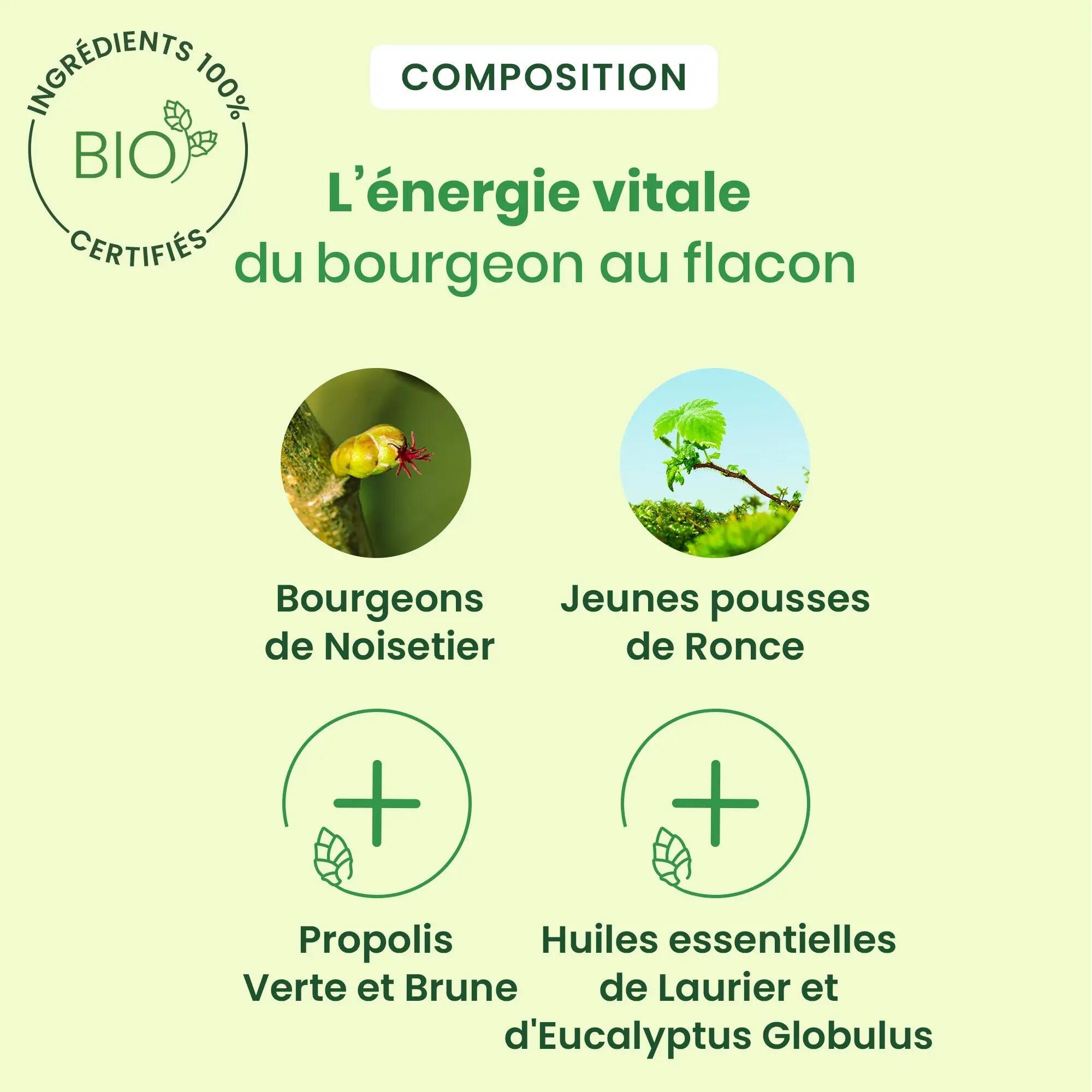 Sirop - Respiration - Unisexe - Bio, bourgeons frais 3/5