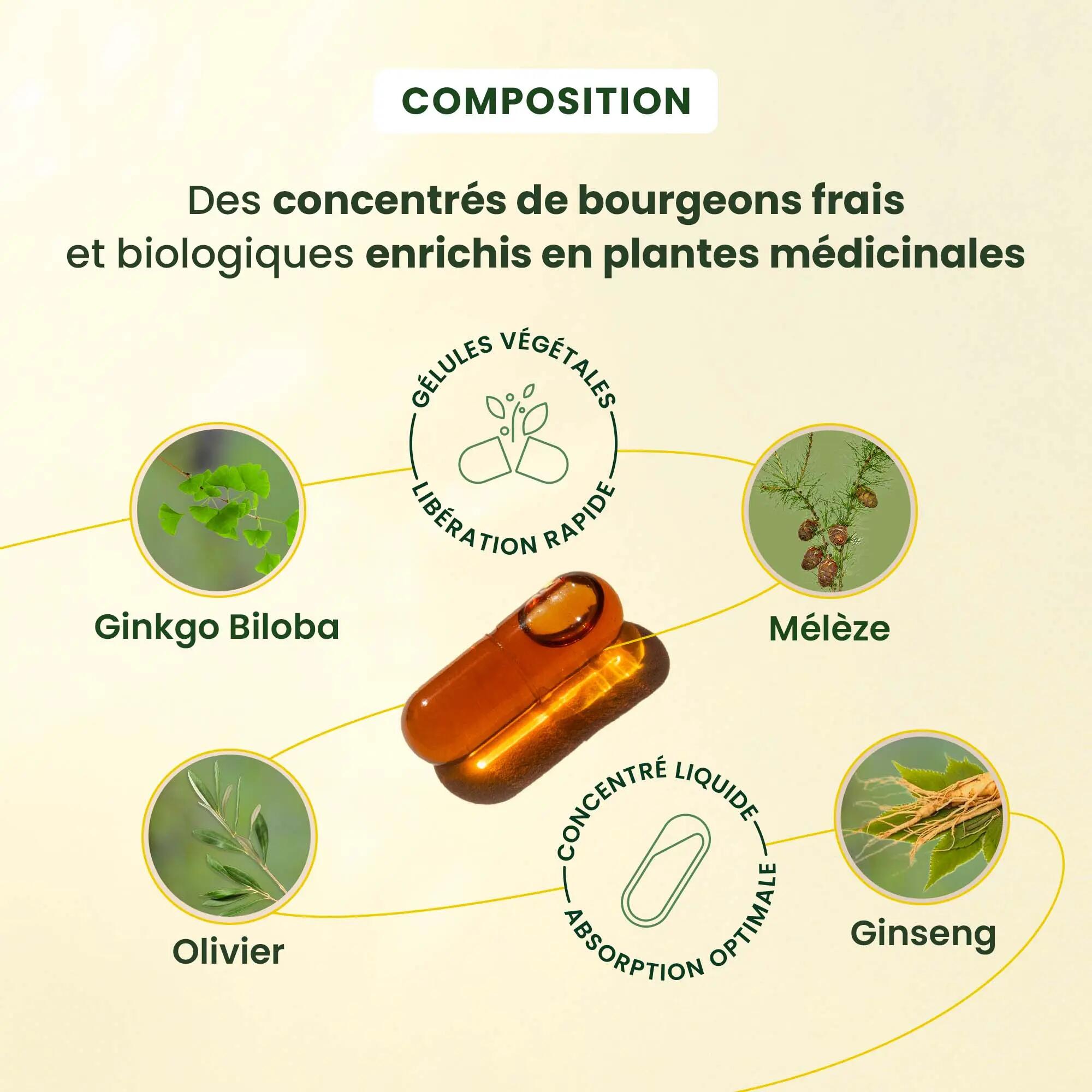 Complément alimentaire Cognition - bourgeons bio, ginseng 4/5