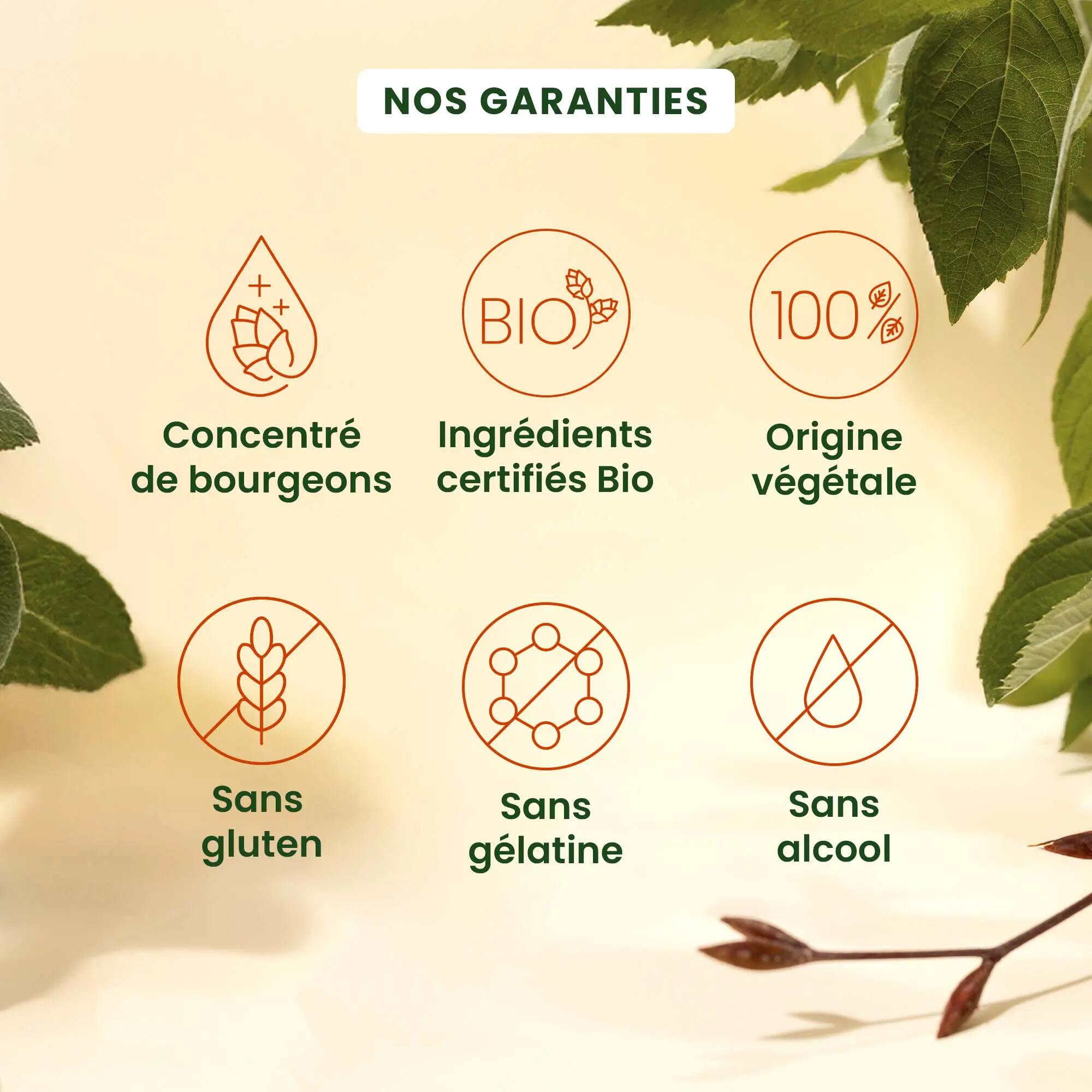 Complément alimentaire Cognition - bourgeons bio, ginseng 3/5