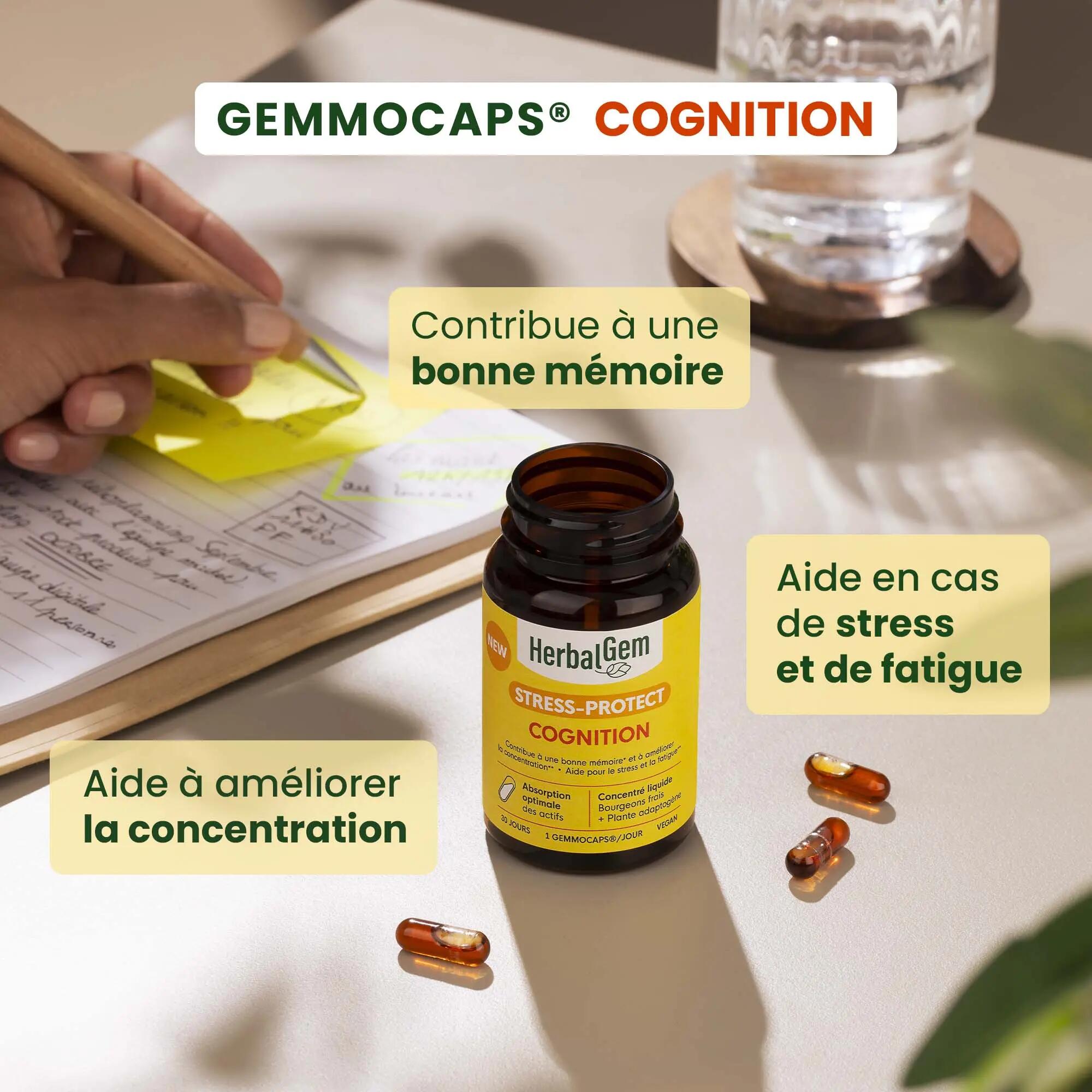 Complément alimentaire Cognition - bourgeons bio, ginseng 2/5