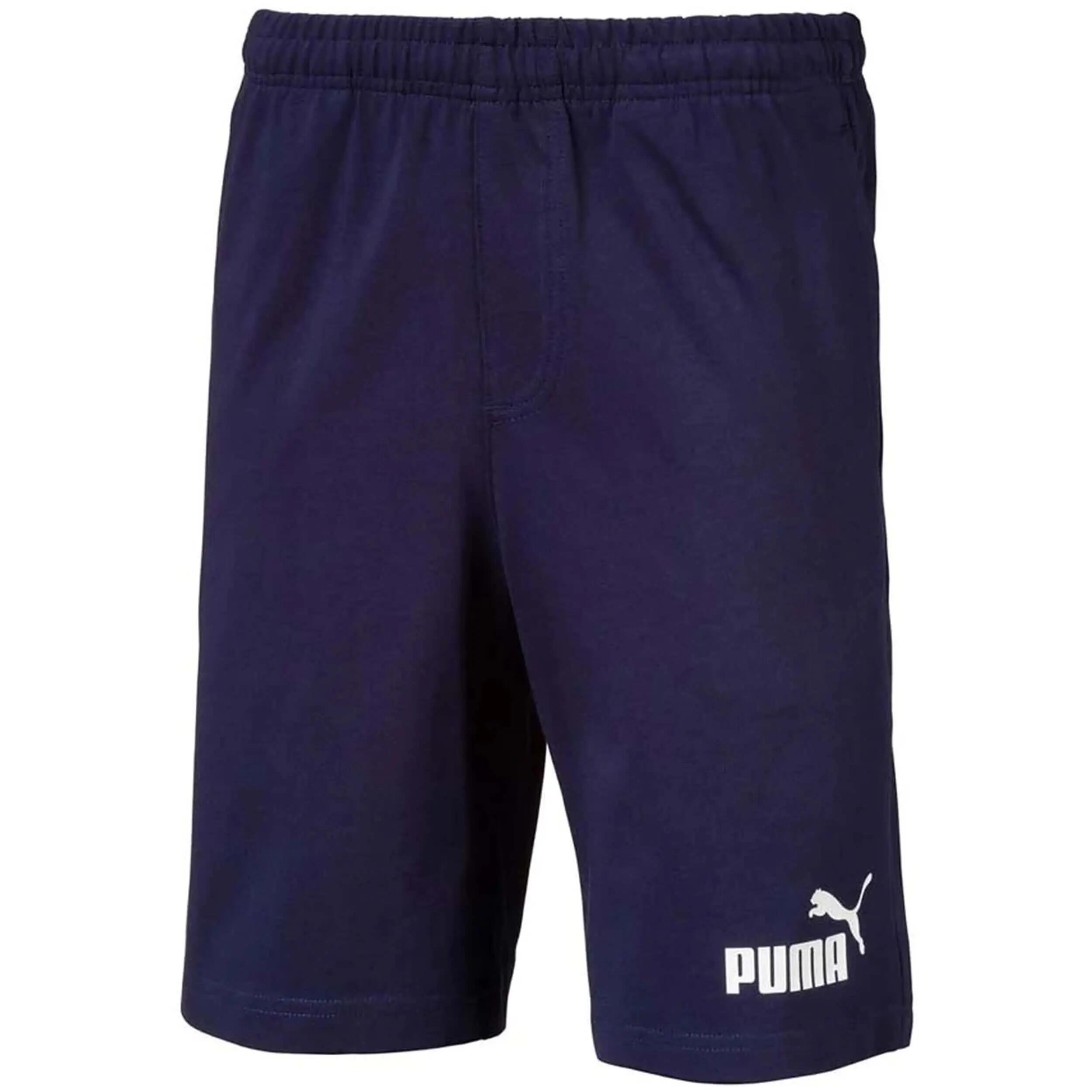 PUMA picture