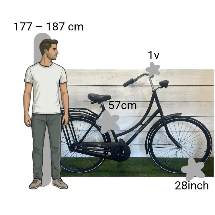 Bicicletta usata Spirit 2/4