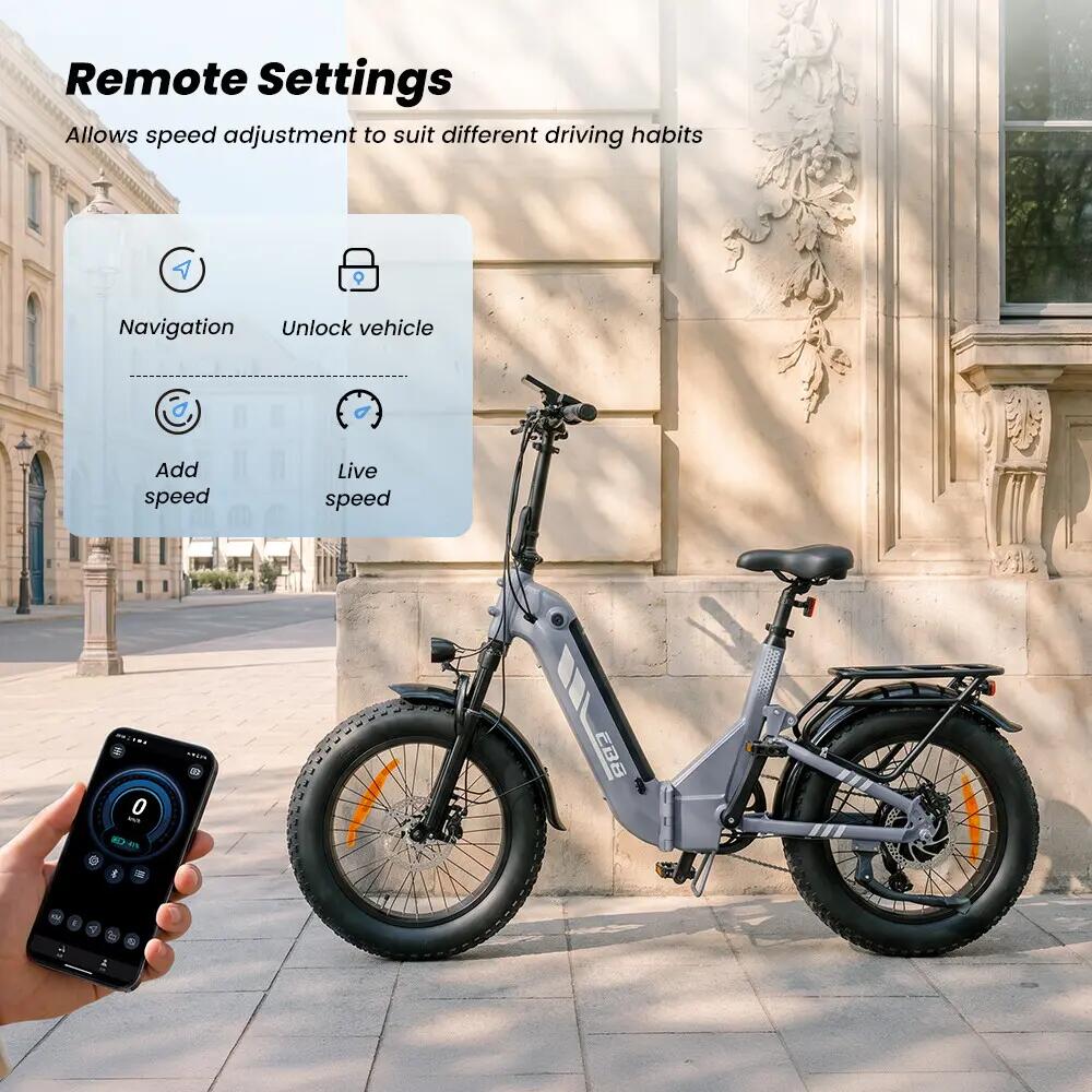 Opvouwbare elektrische stadsfiets iScooter EB8 250W 720Wh 20-inch 9/11