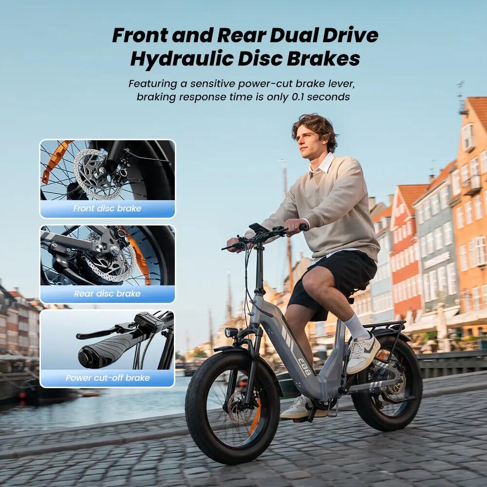 Opvouwbare elektrische stadsfiets iScooter EB8 250W 720Wh 20-inch 3/11