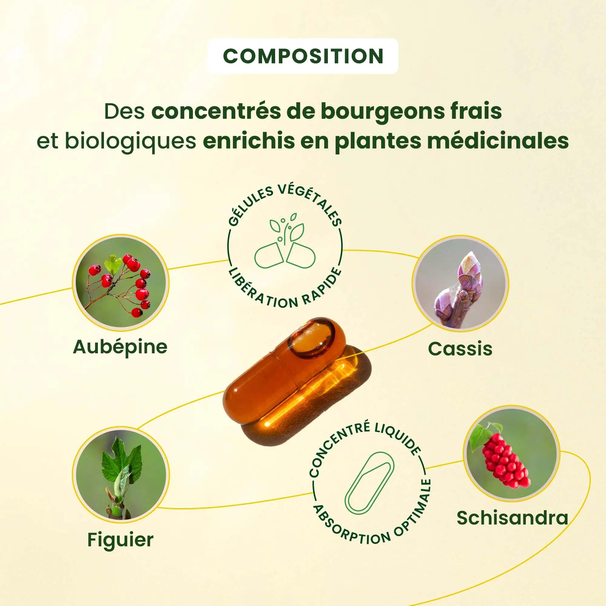 Complément Relax - Bourgeons bio - 30 gélules 4/5