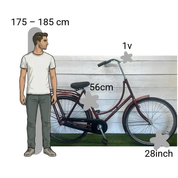 Bicicleta usada Batavus Old Dutch 2/4