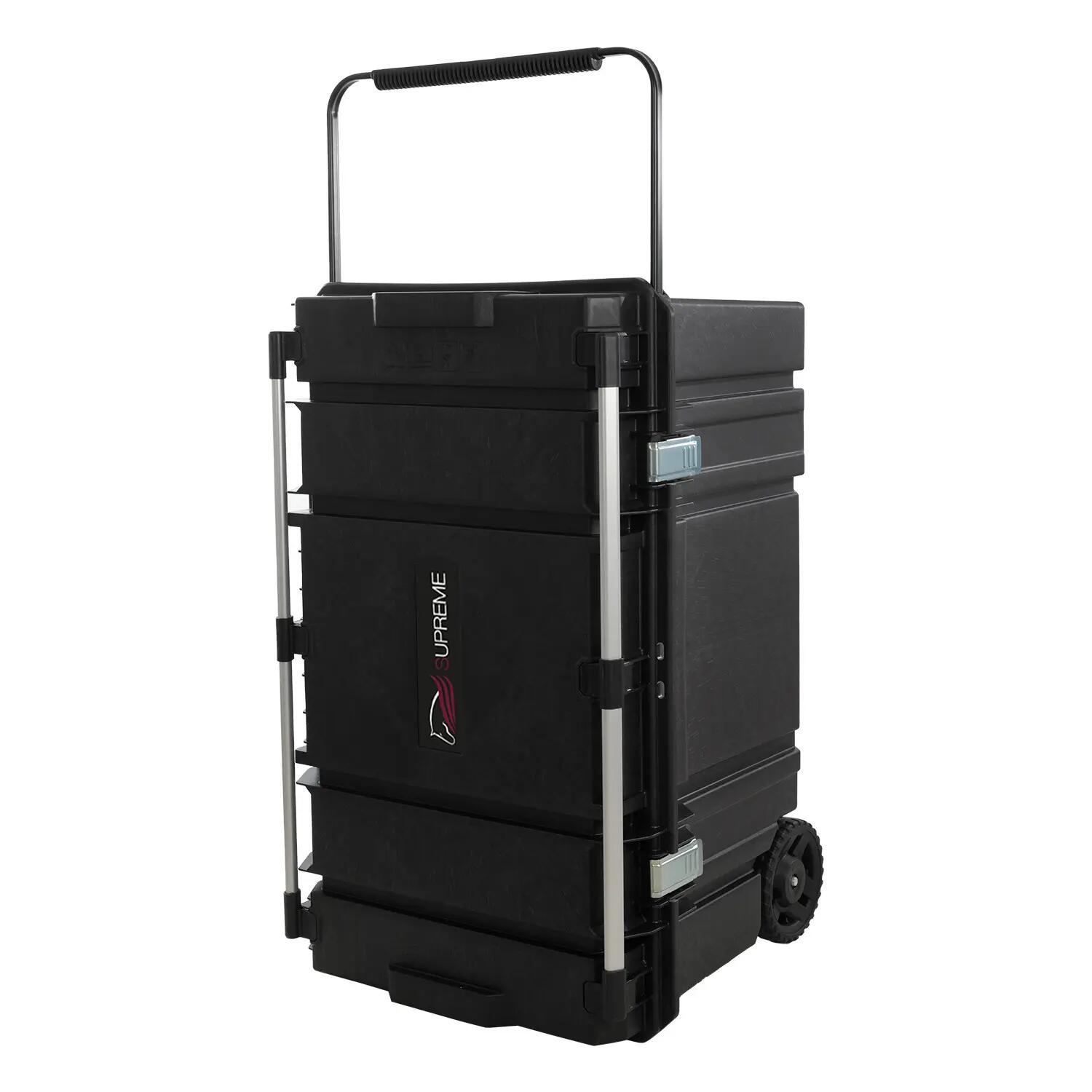 Baule  con ruote 240 lt 2/4
