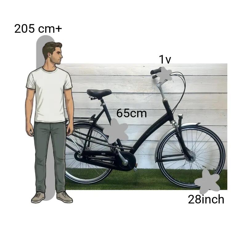 De segunda mano Batavus Mambo - XXXL FRAMEMAAT 2/4
