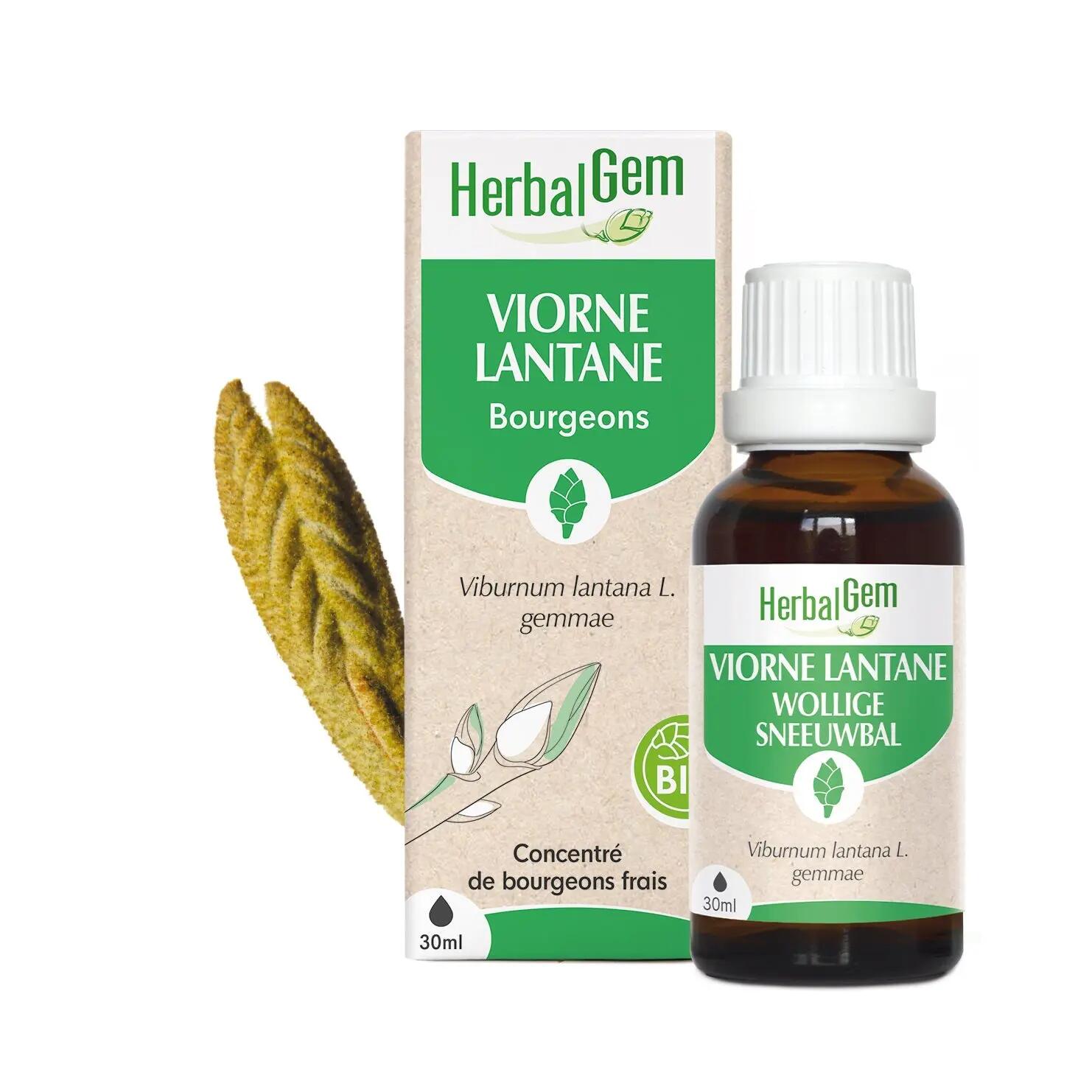HERBALGEM picture