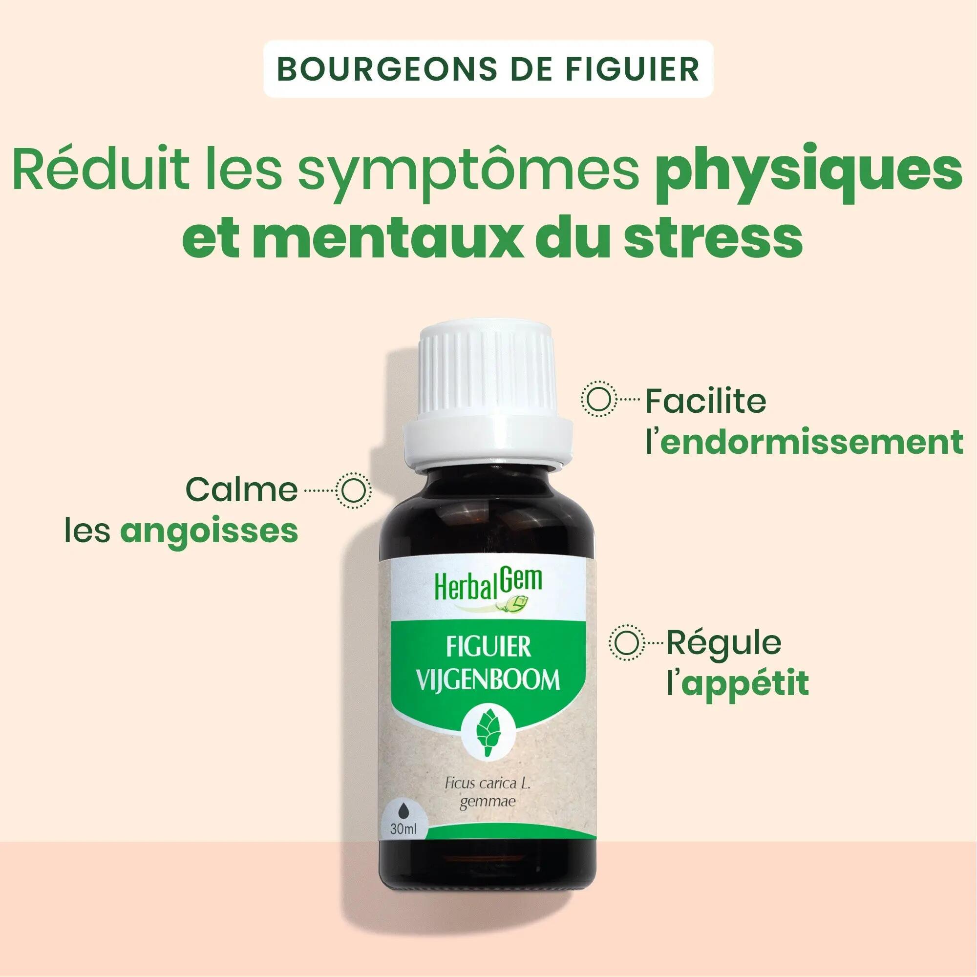Bourgeon de figuier - Complément bio 30 ml 5/5