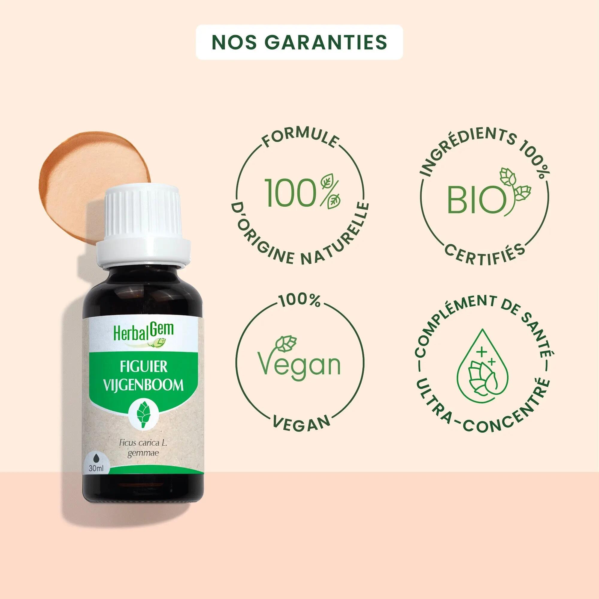 Bourgeon de figuier - Complément bio 30 ml 4/5
