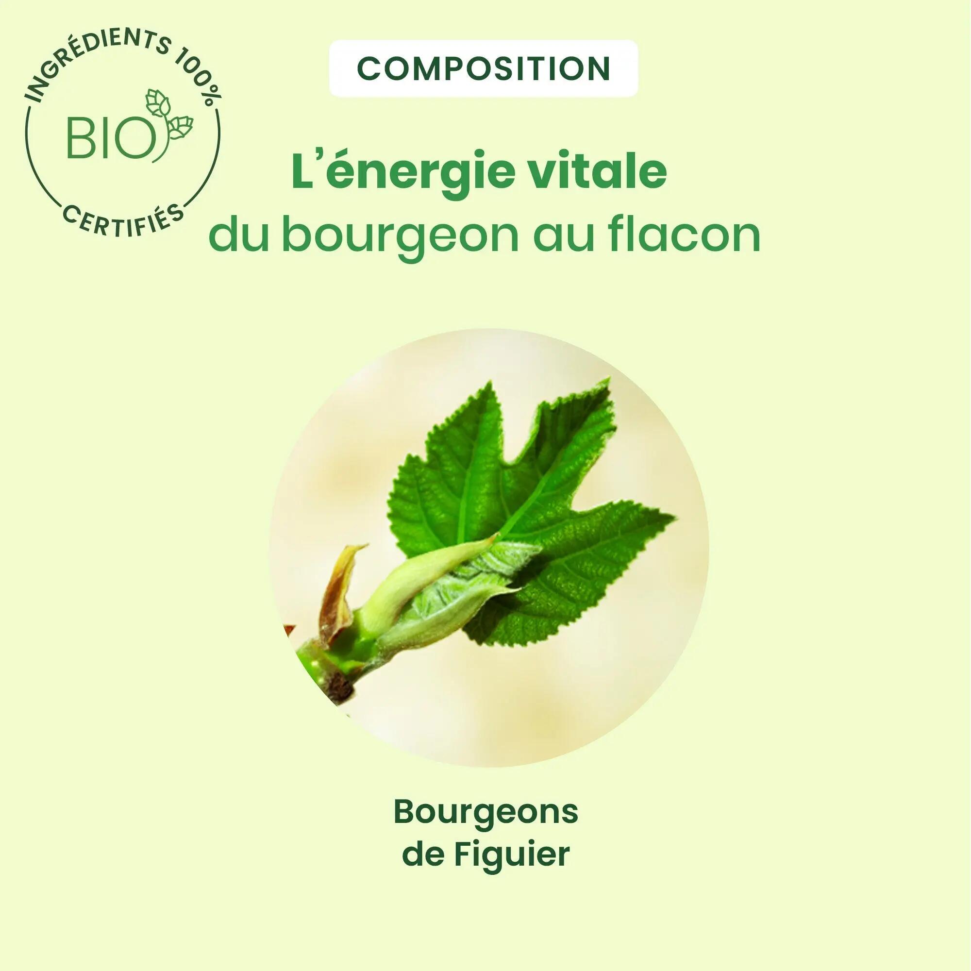 Bourgeon de figuier - Complément bio 30 ml 3/5