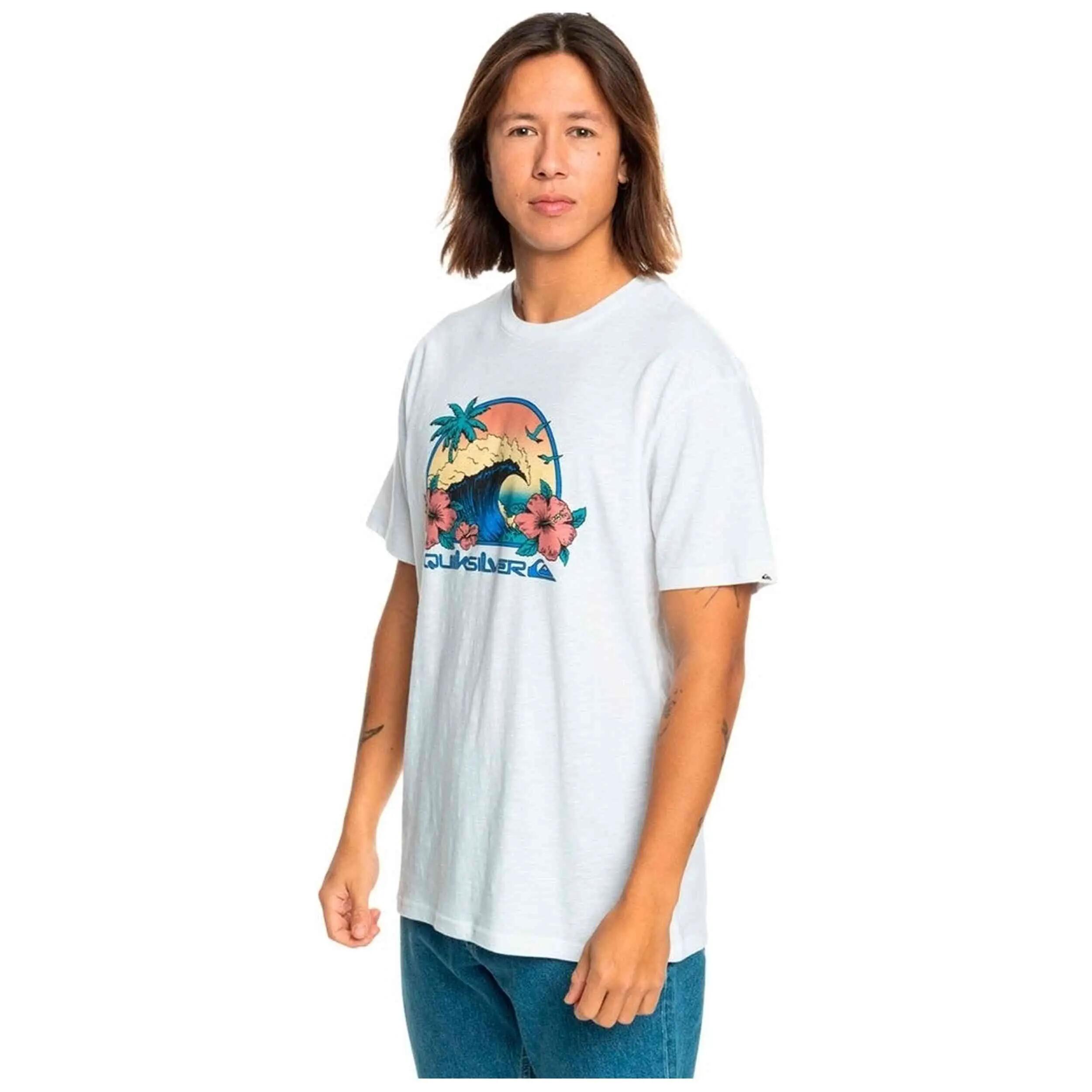 QUIKSILVER picture