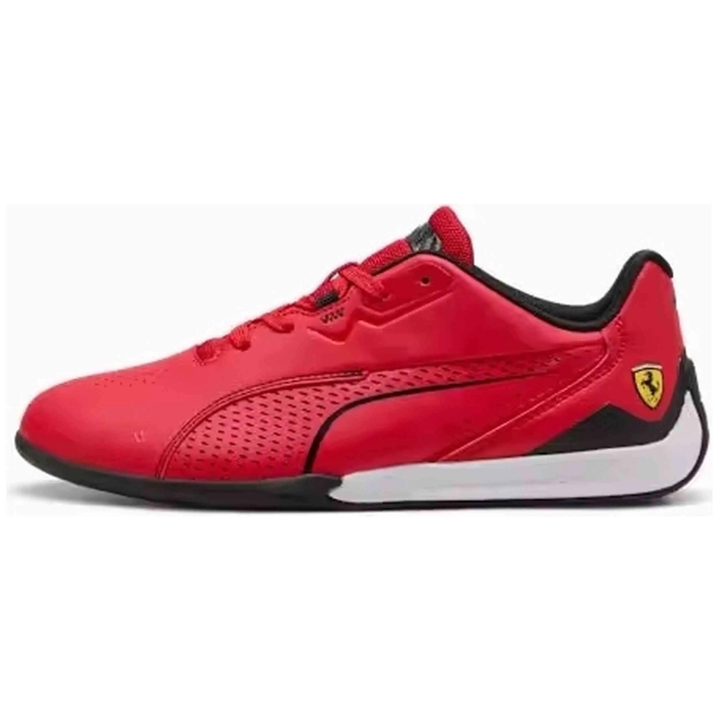 PUMA picture