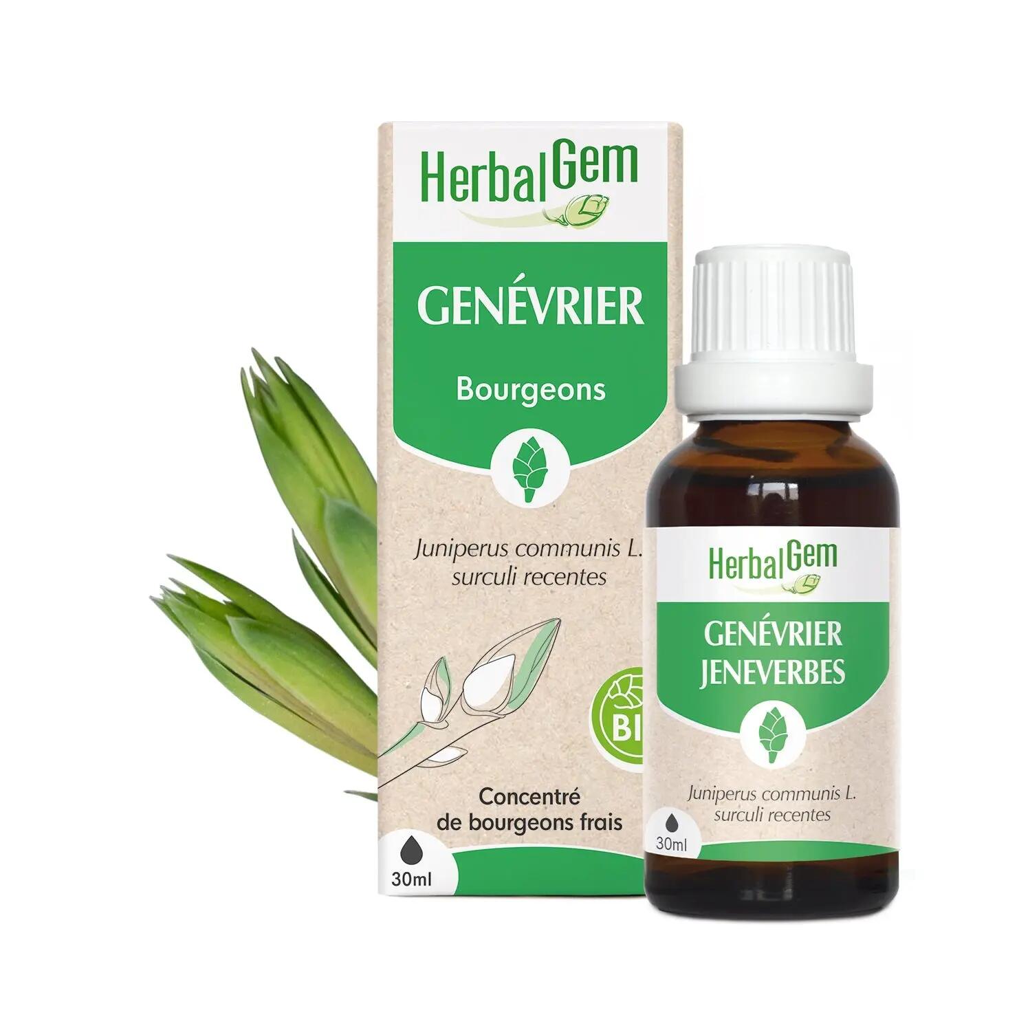 HERBALGEM picture