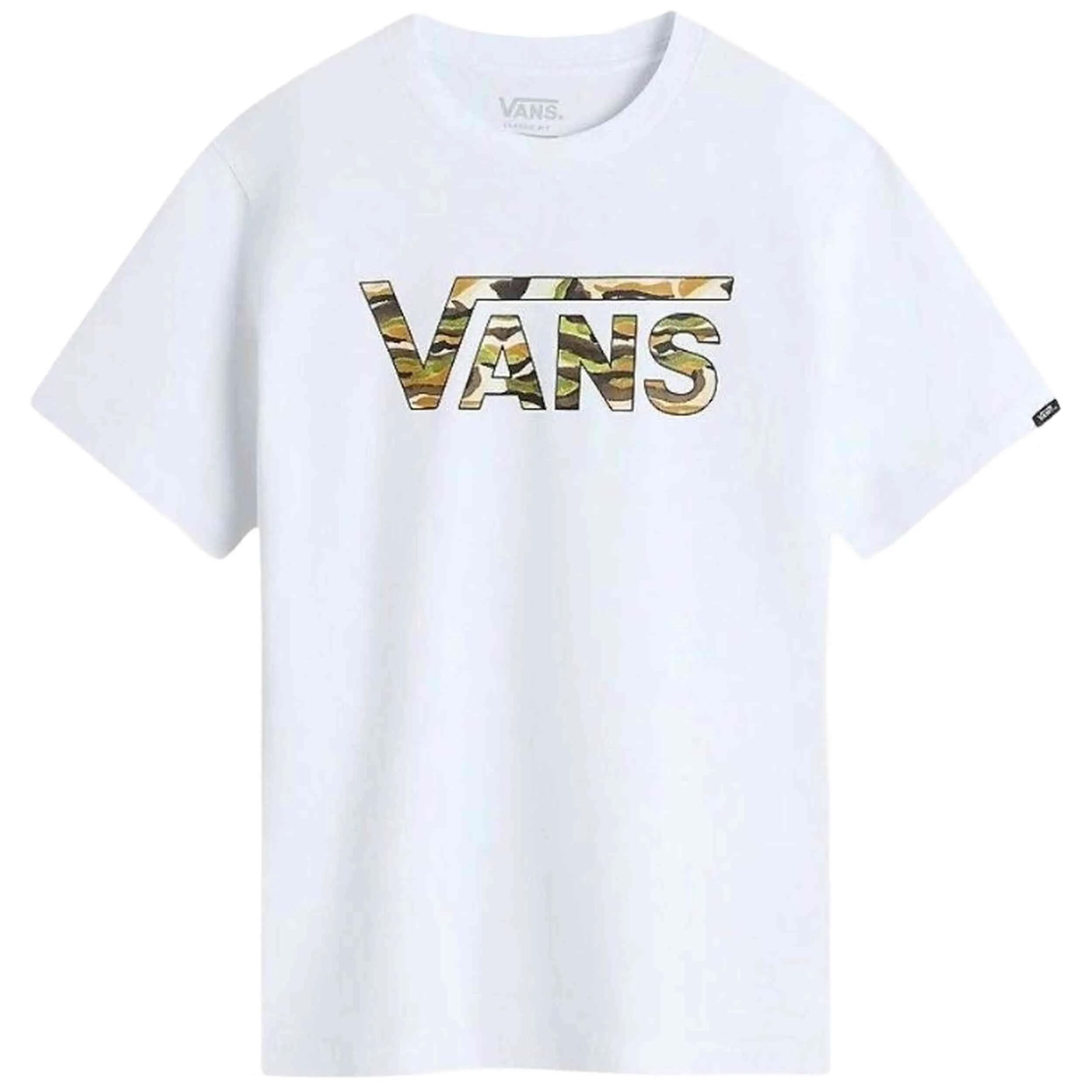VANS picture