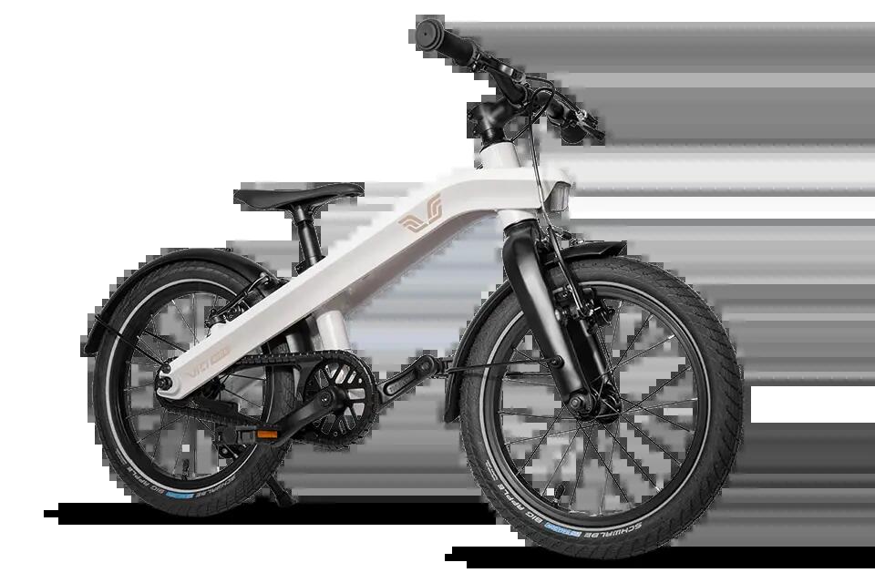 VICI BIKE picture