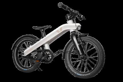 Ride vélo enfant 16 pouces - cadre aluminium léger - enfant 4-6 ans