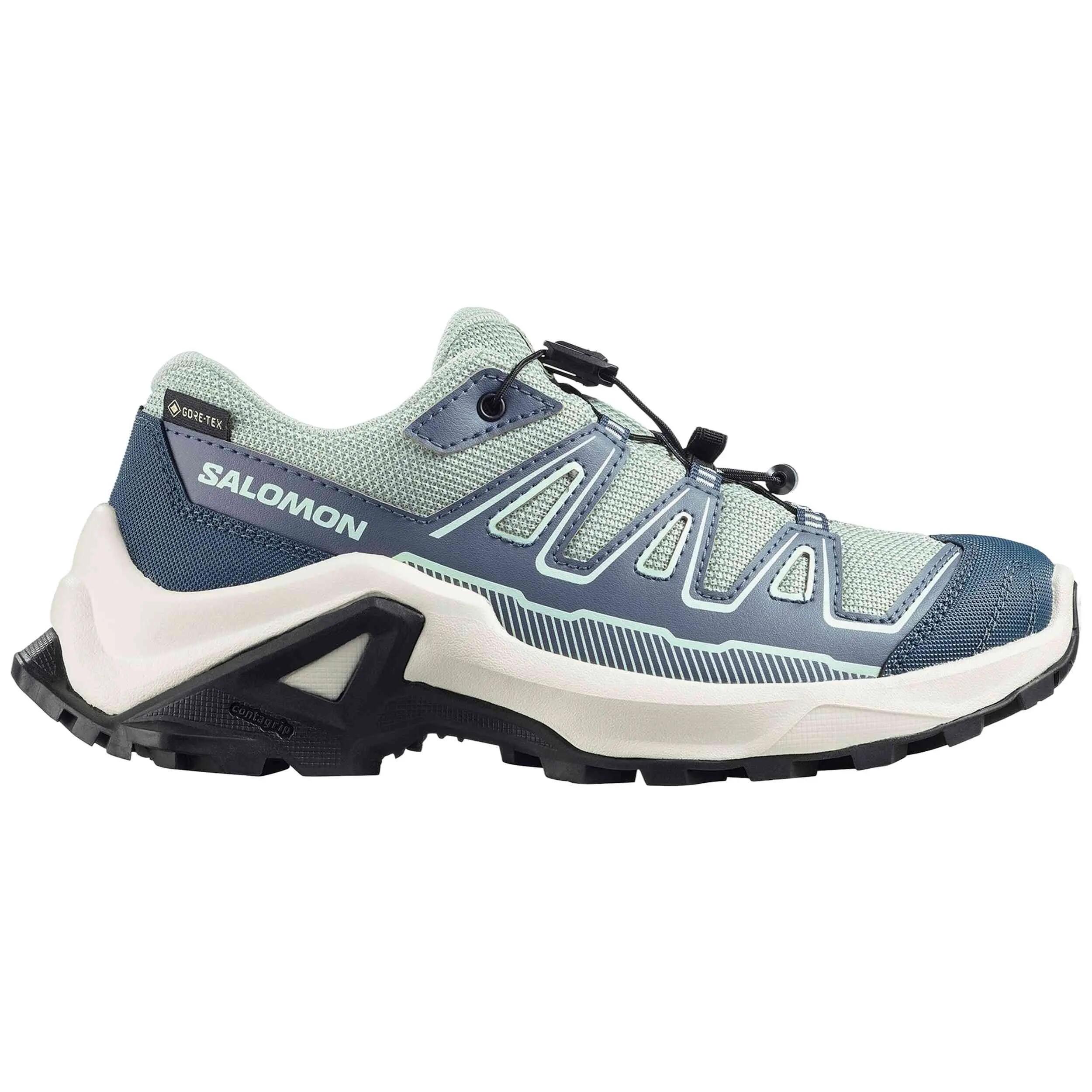 SALOMON picture