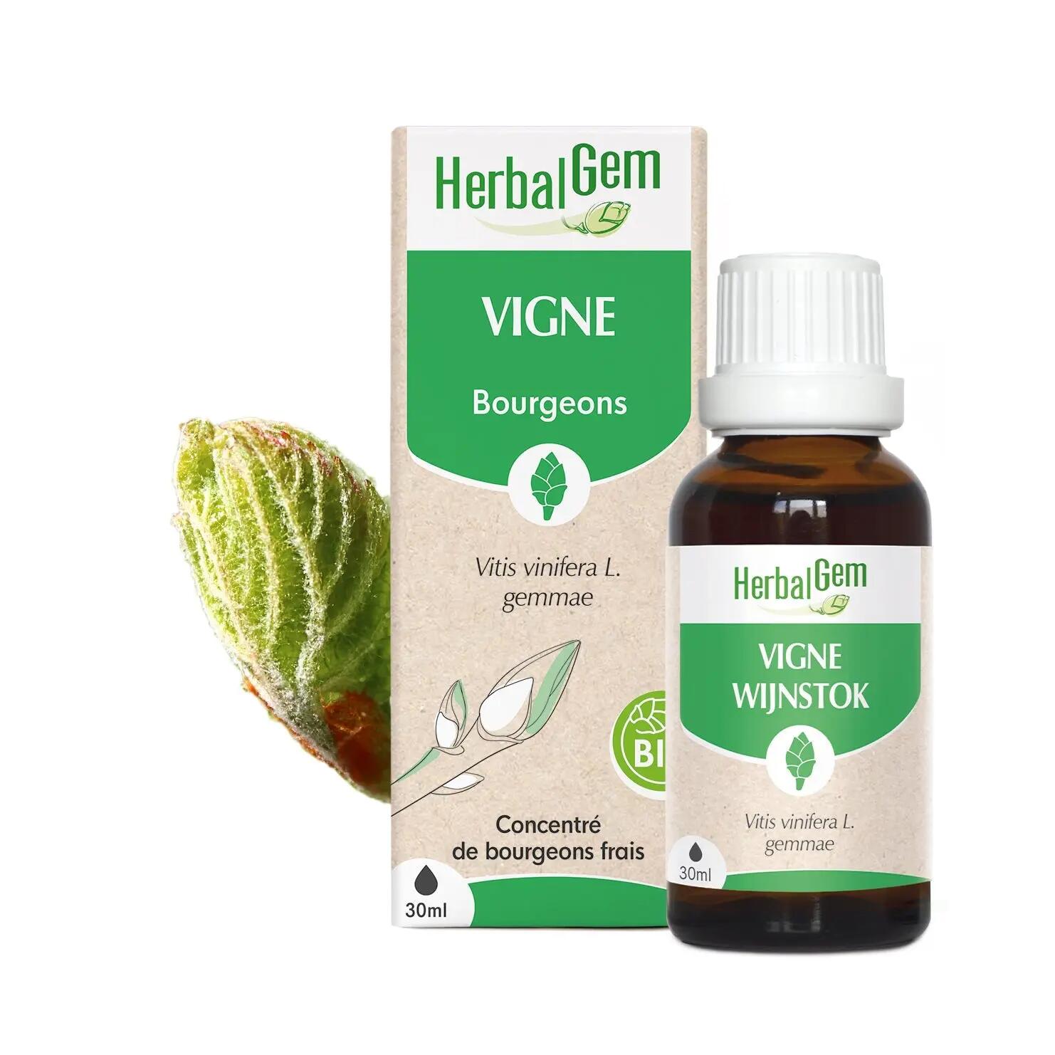 HERBALGEM picture
