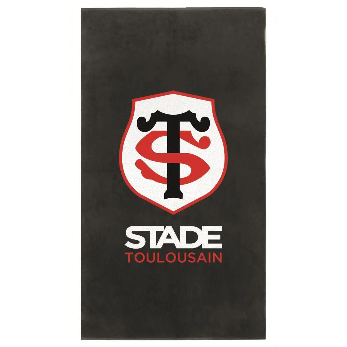 STADE TOULOUSAIN picture