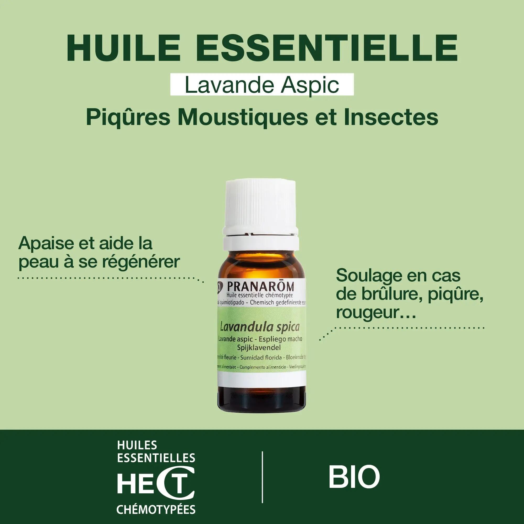 Huile essentielle Lavande aspic Bio - 100 % pure HECT 4/4