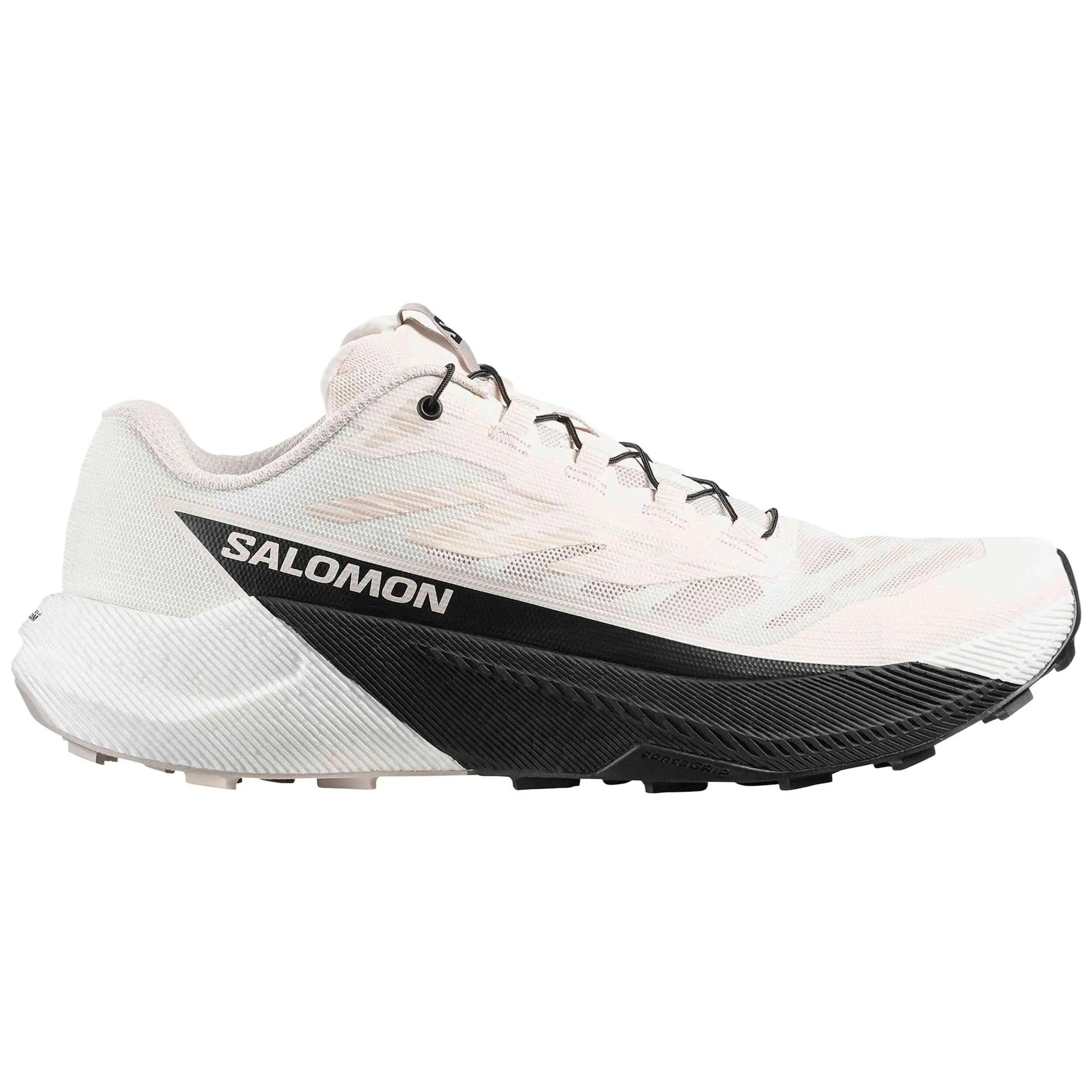 SALOMON picture