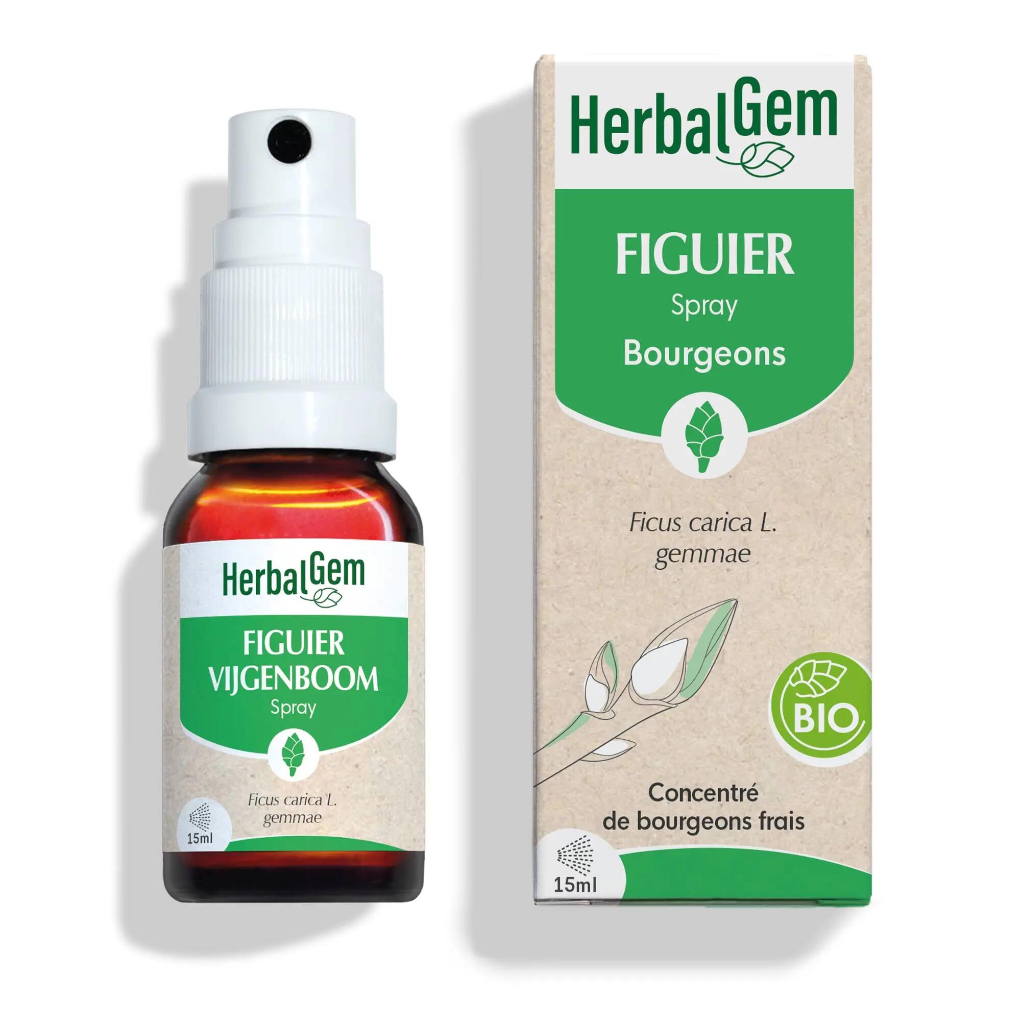 HERBALGEM picture
